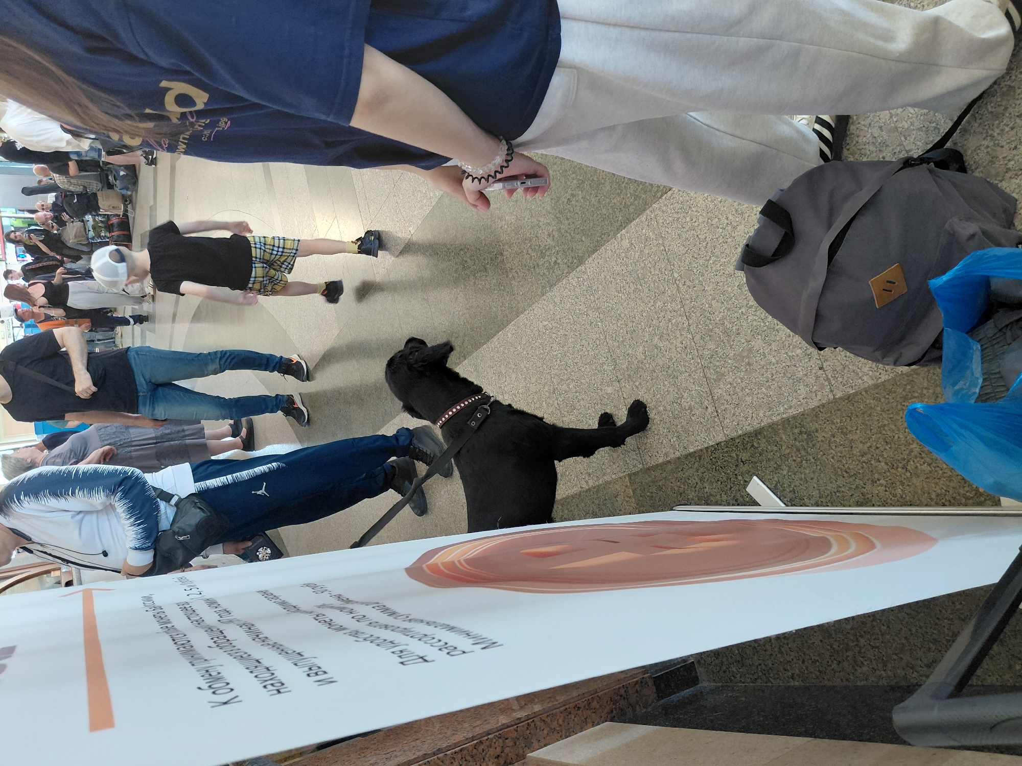 In an indoor public space with a tiled floor and neutral-toned walls, a black dog on a leash stands next to a large white display board with text and an image of coins. A person is partially visible behind the dog on the left, wearing a blue and white tracksuit. To the right of the dog, a young boy in a black t-shirt and plaid shorts walks away, facing towards the background. Further to the right, a person in a navy blue t-shirt and light grey sweatpants stands holding a silver smartphone. A grey backpack rests on the floor near the person's feet. In the background, several other individuals and luggage are visible, suggesting a travel hub such as an airport or train station.