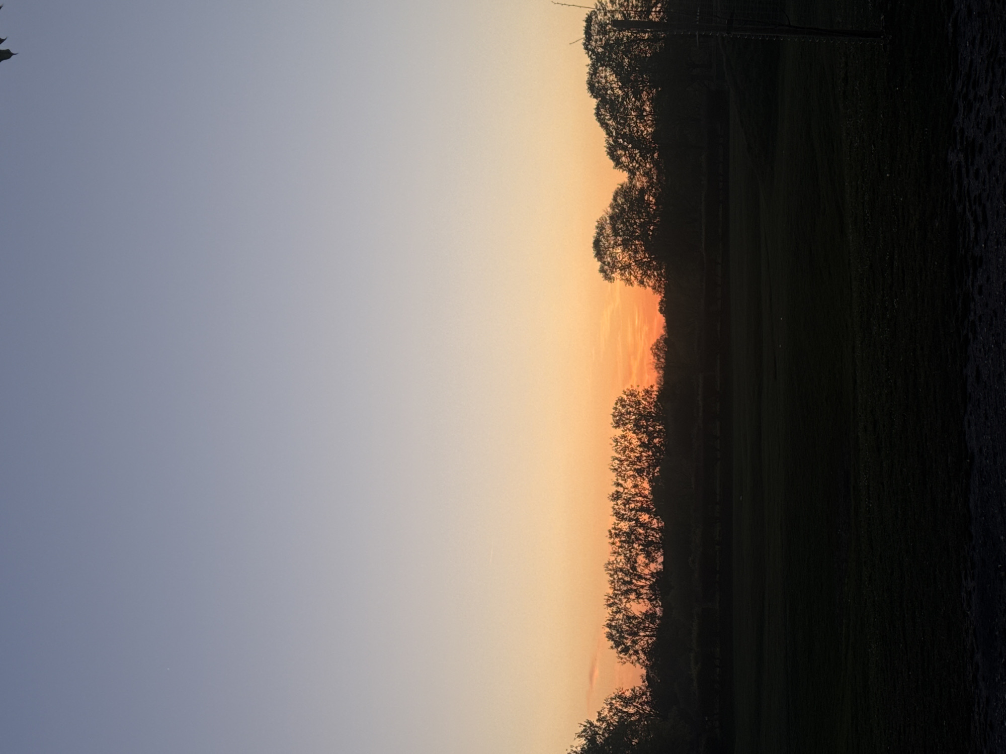 The image, oriented horizontally, captures a serene natural landscape at either sunrise or sunset. The scene is divided by a distinct horizon line, formed by a dense silhouette of trees.
The upper half of the image is dominated by the sky, which displays a striking gradient of colors typical of golden hour. Along the horizon, the sky glows with warm hues of bright orange and yellow, suggesting the sun is very low or just below the horizon. This vibrant band transitions smoothly into softer peach and then a cooler, clear blue-grey towards the top of the frame. A faint, almost indiscernible light-colored streak, possibly a contrail from an aircraft, is visible in the bluer portion of the sky.
Below the colorful sky, a continuous line of deciduous trees forms a dark, intricate silhouette against the bright backdrop. The individual branches and the texture of the foliage are visible as dark patterns. Below the treeline, the ground appears as a uniformly dark, expansive field or tract of land, almost entirely in shadow. The detail in this area is minimal, suggesting it's heavily underexposed due to the strong light coming from the horizon.
No people or man-made structures are prominently visible, although a faint vertical structure, possibly a utility pole or antenna, can be seen just above the treeline on the right side in the original image. The overall impression is one of peaceful natural beauty and tranquility, characteristic of a clear day's end or beginning in a rural or park-like setting. There is no visible text. Given the location context of London, United Kingdom, this scene likely depicts a park, common, or countryside area on the outskirts of the city.