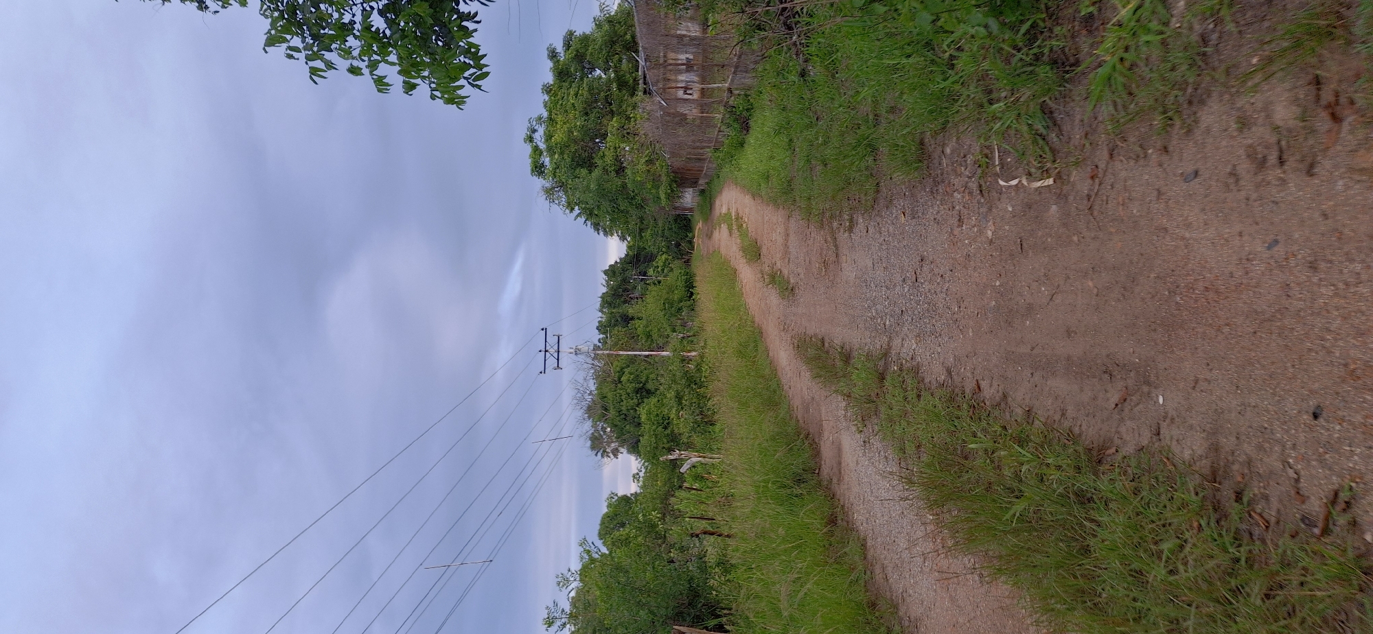 The image shows a dirt road in Vallecito, Venezuela, with lush green vegetation on both sides and a cloudy sky overhead. Power lines stretch across the sky, supported by utility poles. The road appears to be a rural path, possibly leading into a more populated area or a natural landscape. The presence of the power lines suggests that the area is connected to the electrical grid, indicating a degree of development. The overall scene evokes a sense of tranquility and natural beauty.