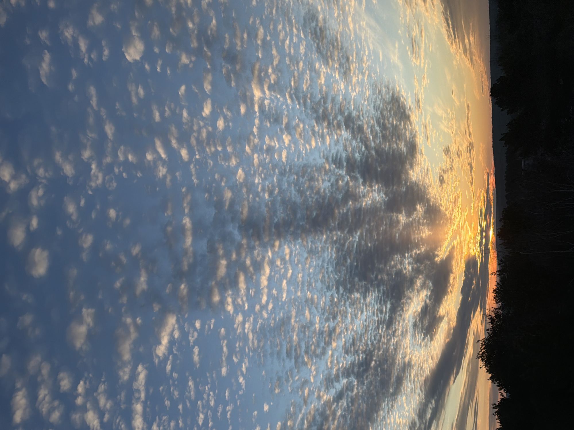 The image shows a sky at sunset, with small, fluffy clouds filling the majority of the frame. The clouds are colored with pale yellows and whites, contrasted against a light blue sky. Towards the right side, there are darker, larger clouds near the horizon where the sun appears to be setting. The sun's light is visible, radiating out through the clouds. Silhouetted trees are seen along the horizon on the right edge of the picture, suggesting a forested area. The location is purportedly near Chaikovsky, Russia, but there are no identifiable landmarks in the image to confirm this. The scene depicts a natural landscape at dusk.