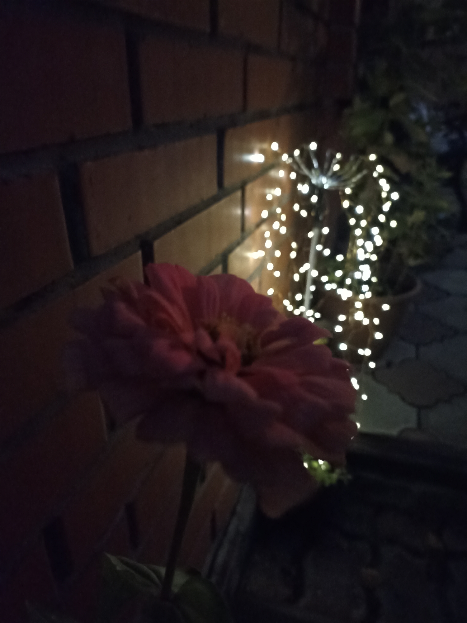 The image shows a pink zinnia flower in the foreground, slightly out of focus. Behind the flower, a brick wall is visible on the left. To the right, a string of white fairy lights is draped around some foliage, illuminating the scene. The ground is paved with cobblestones. The lighting suggests it is nighttime. The image is not taken in Mochische, Russia.