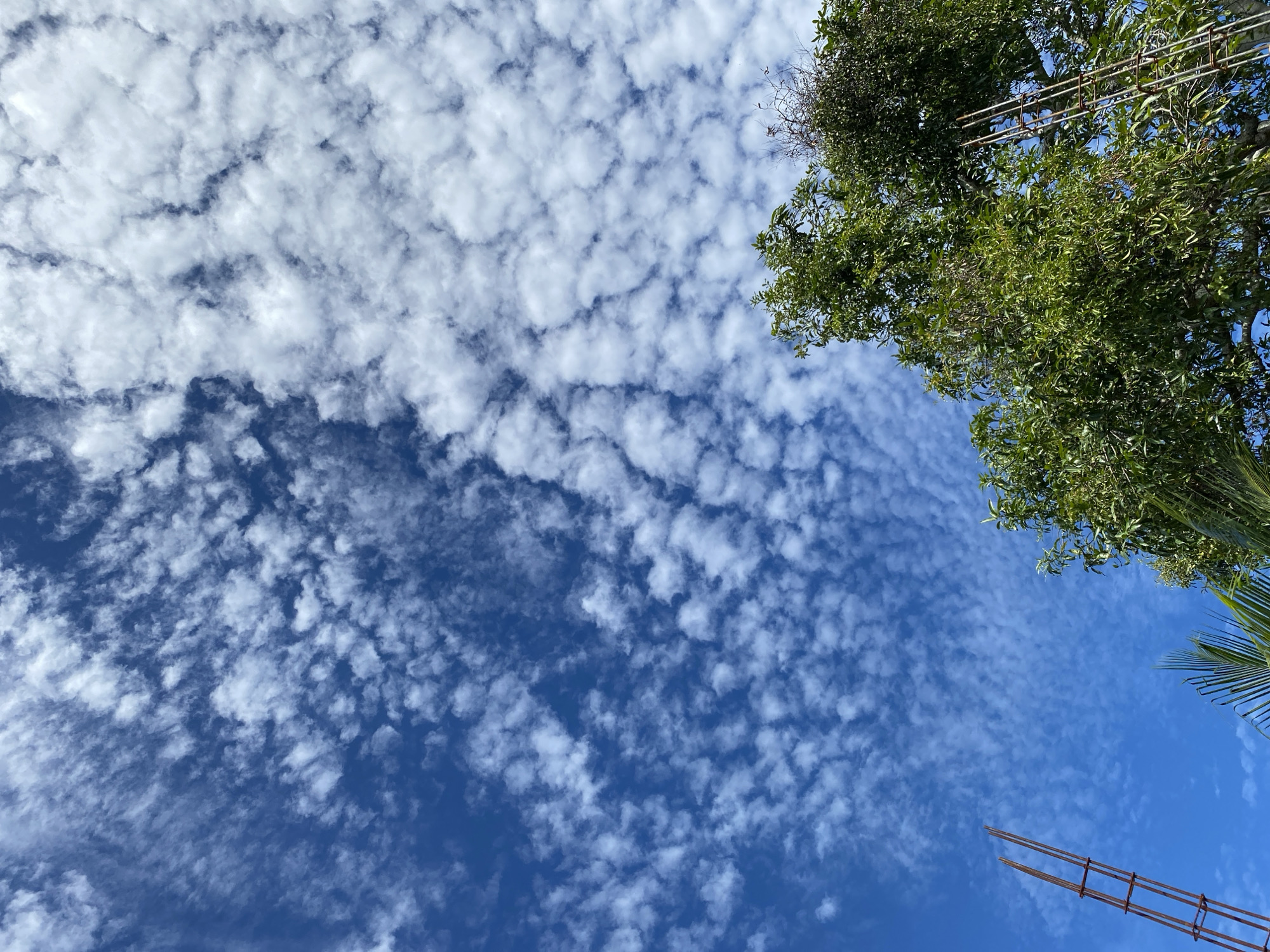 This image depicts a bright, clear blue sky filled with scattered white clouds. The clouds are a mix of thin, wispy cirrus and thicker, more defined cumulus formations, creating a textured pattern across the sky. In the lower right portion of the frame, the lush green foliage of trees is visible, with one tree appearing particularly dense. To the left, a vertical structure made of rusted metal rebar, likely part of a construction project, rises towards the sky. The scene suggests an outdoor environment, possibly a residential or semi-urban area in Banda Aceh, Indonesia, under fair weather conditions. There are no people or discernible actions taking place.