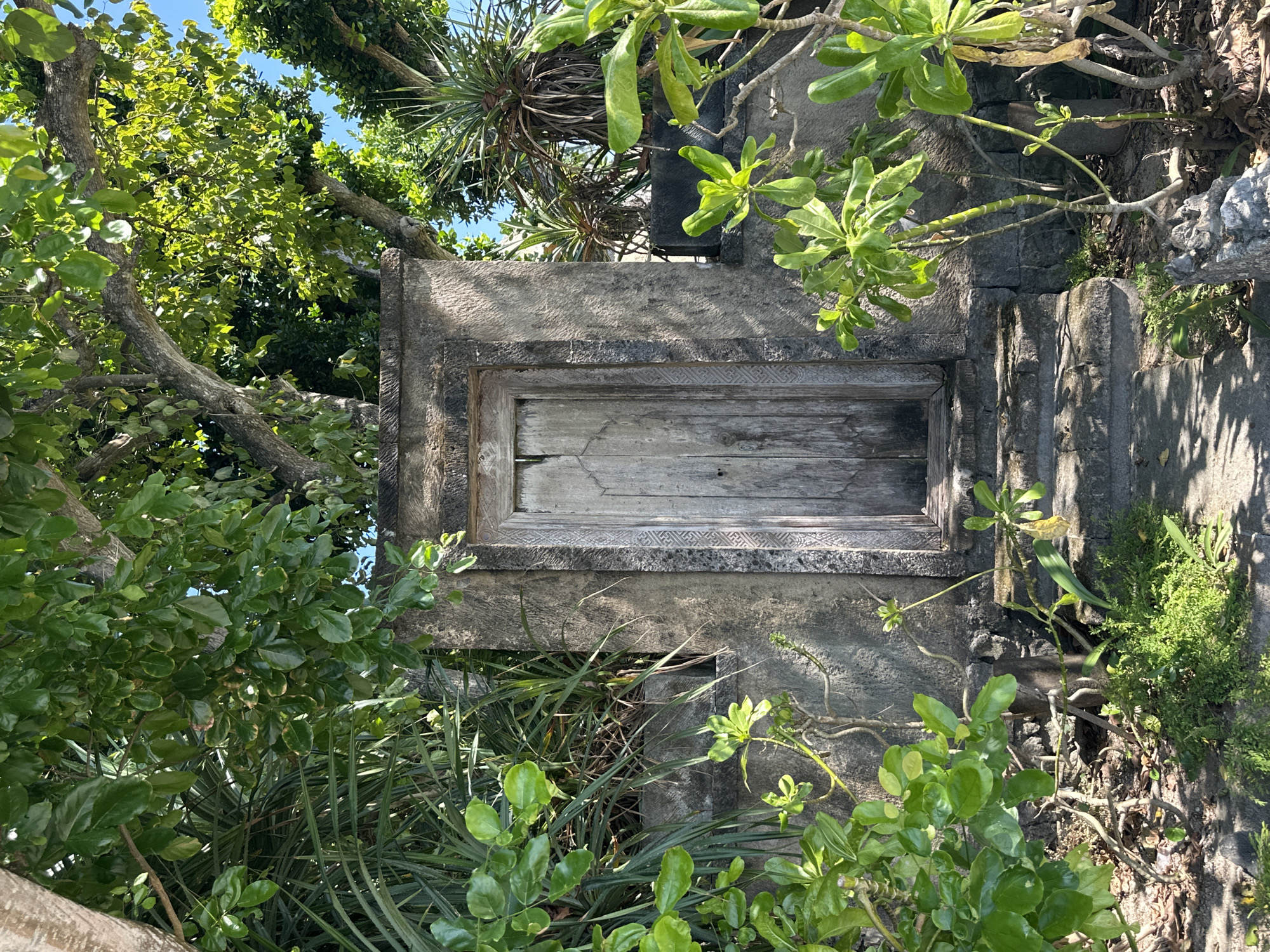 The image depicts an old, weathered wooden door set within a stone archway. The door is tall and narrow, with vertical plank construction and a decorative carved top. The stone archway is textured and aged, with a decorative stone border. Steps made of rough-hewn stone lead up to the door. Lush green foliage, including broad leaves and spiky plants, surrounds the structure, with the branches of trees overhead casting dappled shadows. The scene suggests an outdoor location, possibly a garden or a natural setting. The overall impression is one of age, history, and integration with nature. This specific location is a hidden gateway within the grounds of the Taman Festival Bali, a now-abandoned cultural park in Denpasar, Indonesia, known for its unique architecture and tropical setting.