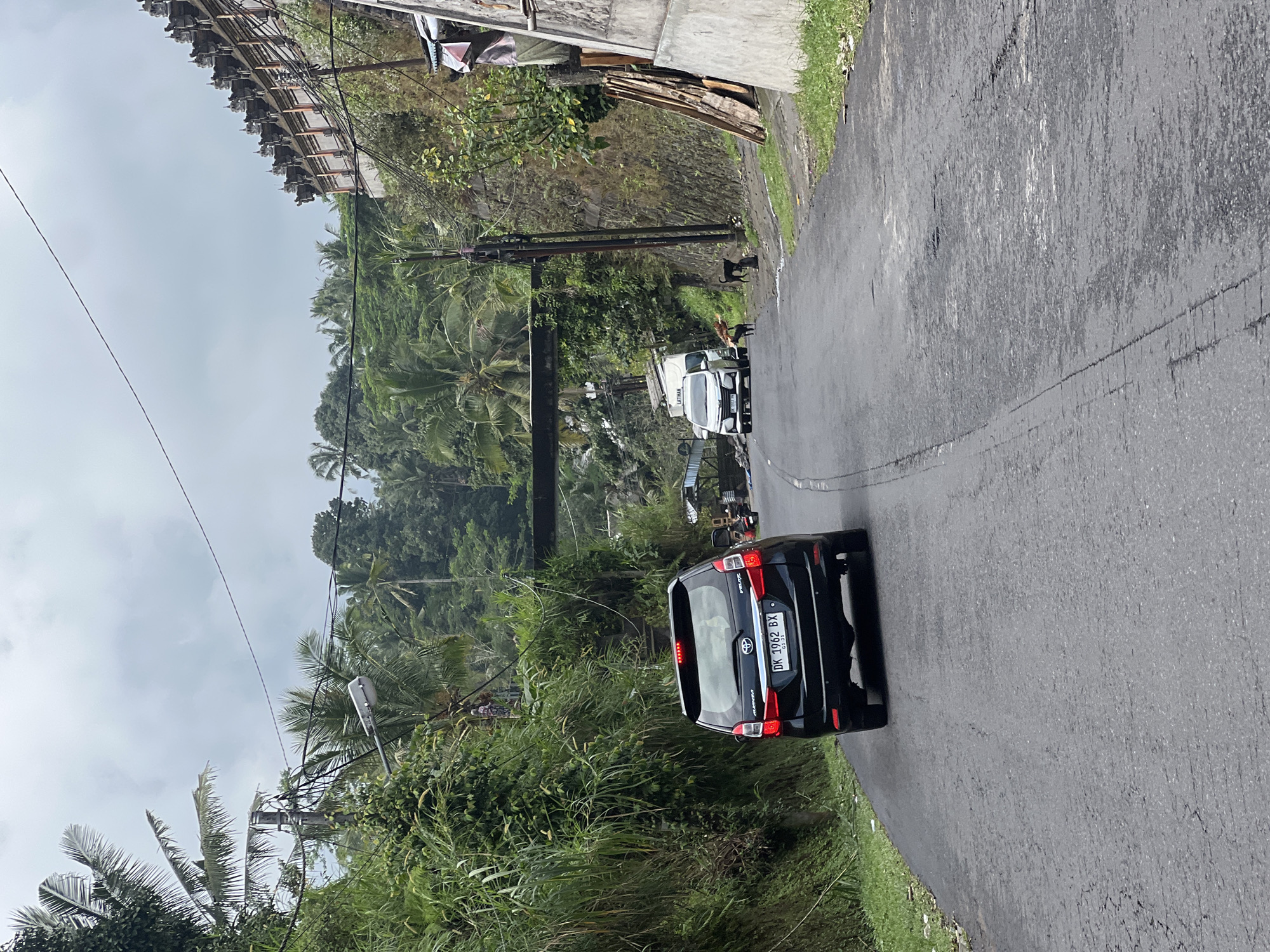This is a medium-shot, eye-level, outdoor photograph taken in Tembuku, Indonesia. The scene depicts a paved, two-lane road in a rural or semi-rural area, surrounded by lush vegetation, including palm trees and dense foliage. A black SUV is driving away from the camera in the foreground, its license plate reading "DK 1062 BX". Further down the road, a white van is parked, and two dogs, one black and one brown, are interacting on the roadside. In the background, a bridge crosses over the road, and on the right side of the road, a stone wall with decorative architectural elements runs along the elevated terrain. The sky is overcast.