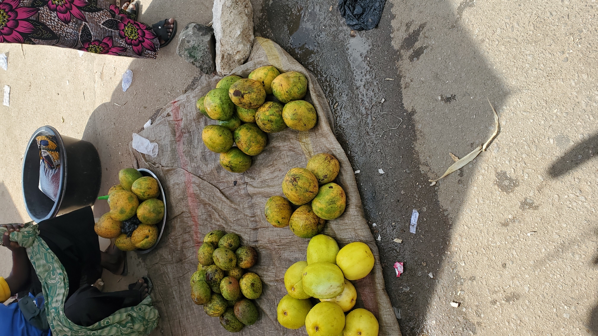 This is a medium shot, eye-level, natural light, outdoor photograph taken in the city of Jalingo, Nigeria. The scene depicts a street market stall with a variety of fruits for sale. In the foreground, a pile of green and yellow mangoes rests on a beige tarp spread over the asphalt ground. To the left of the mangoes, a cluster of smooth, yellow fruits, possibly guavas, are arranged. Behind these fruits, another pile of similar green and yellow mangoes is visible. Further back, a plate containing a mix of green and yellow fruits, likely unripe mangoes, is placed on the tarp. Next to the plate, a black plastic tub holds some items, partially obscured by a green and white patterned cloth. A person's legs and feet are visible to the left, dressed in black pants and a green cloth. To the right, the lower portion of another person's legs is seen, wearing a brightly colored skirt with a floral pattern. The ground is wet in places, suggesting recent rain, and litter, including a plastic wrapper and a black plastic bag, is scattered around. In the background, two large rocks are present. The overall atmosphere suggests a busy marketplace environment.