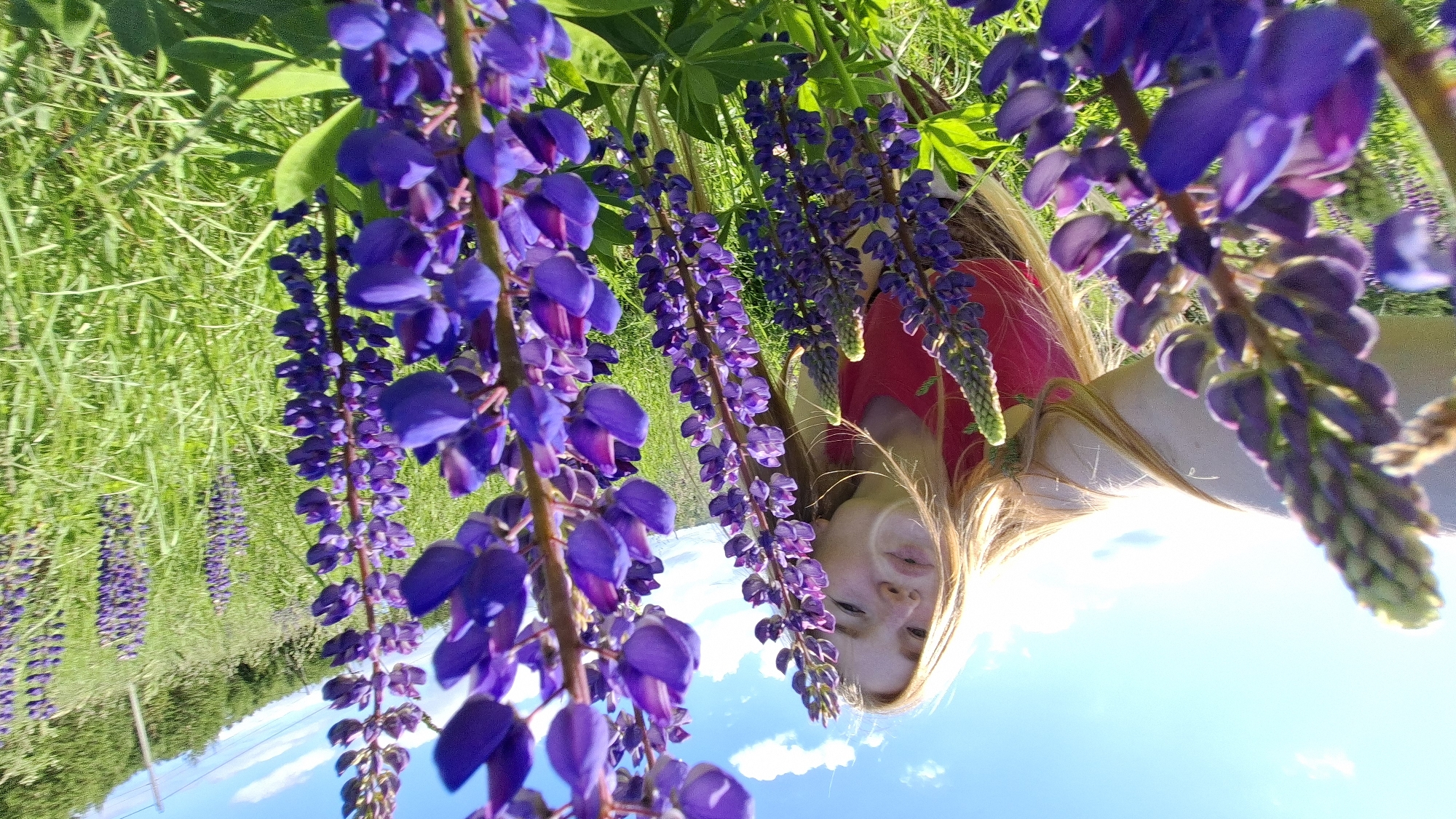 A young woman with long, blonde hair is taking a selfie in a field of purple lupine flowers under a blue sky with scattered clouds. She is wearing a pink top and is leaning forward, blowing a kiss towards the camera. The lupine flowers are in the foreground, out of focus, with their tall spikes of purple blooms prominently displayed. The background shows a grassy field and a tree-covered hillside, suggesting a rural or natural setting. The image appears to be taken on a sunny day. The location is specified as Bolshoy Bukor, Russia.