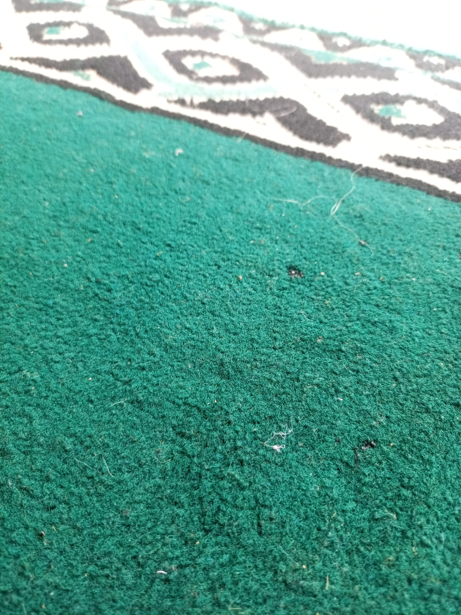 This is a close-up, slightly angled shot of a green carpet with a patterned edge. The carpet appears to be made of a plush, short-pile material, with a soft texture that catches the light in places. Scattered across the green surface are a few small flecks of debris, possibly dust or lint. In the upper portion of the image, a distinct pattern is visible on the edge of the carpet. This pattern consists of repeating shapes in black, white, and a light teal or turquoise color, resembling abstract animal prints or geometric designs. The transition between the solid green carpet and the patterned edge is sharp. The lighting suggests it is daytime, and there are no discernible clues about the weather or a specific location beyond it being a carpeted area. No people, animals, or text are visible in the image. The scene is static, focusing solely on the texture and pattern of the carpet.