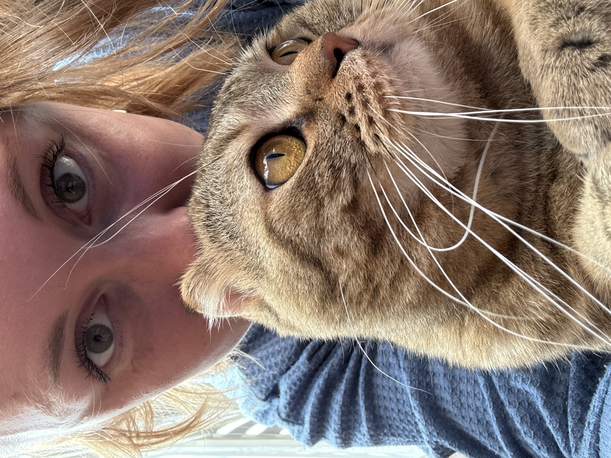 This is a close-up, vertical, eye-level photograph of a person and a cat. The person is on the left side of the frame, with their face partially visible and their blonde hair fanning out around their head. Their left eye is open and looking towards the camera, with noticeable eyelashes and makeup. The cat is on the right side of the frame, with its head tilted upwards and its golden eyes prominent. The cat's fur is a mix of brown and tan stripes, and its long white whiskers are clearly visible.
The two subjects appear to be very close, with the cat's face overlapping the person's. They are both positioned against a textured blue fabric, possibly a blanket or clothing. The lighting suggests it is daytime, with natural light illuminating the scene. There are no discernible location cues, text, or specific events taking place beyond the close interaction between the person and the cat. The overall impression is one of intimacy and affection.