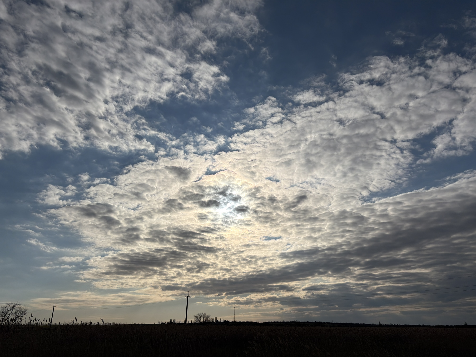 The image depicts a wide, flat landscape in Novomargaritovo, Russia. The foreground is dominated by a dark field of tall grass or reeds, obscuring the ground. In the mid-ground, a horizon line separates the field from the sky, and a few scattered trees and utility poles are visible. The sky is filled with a mix of dark and light clouds, with the sun obscured but its location clearly defined by a bright glow behind the cloud cover. The overall atmosphere is overcast, with soft, diffused light.
