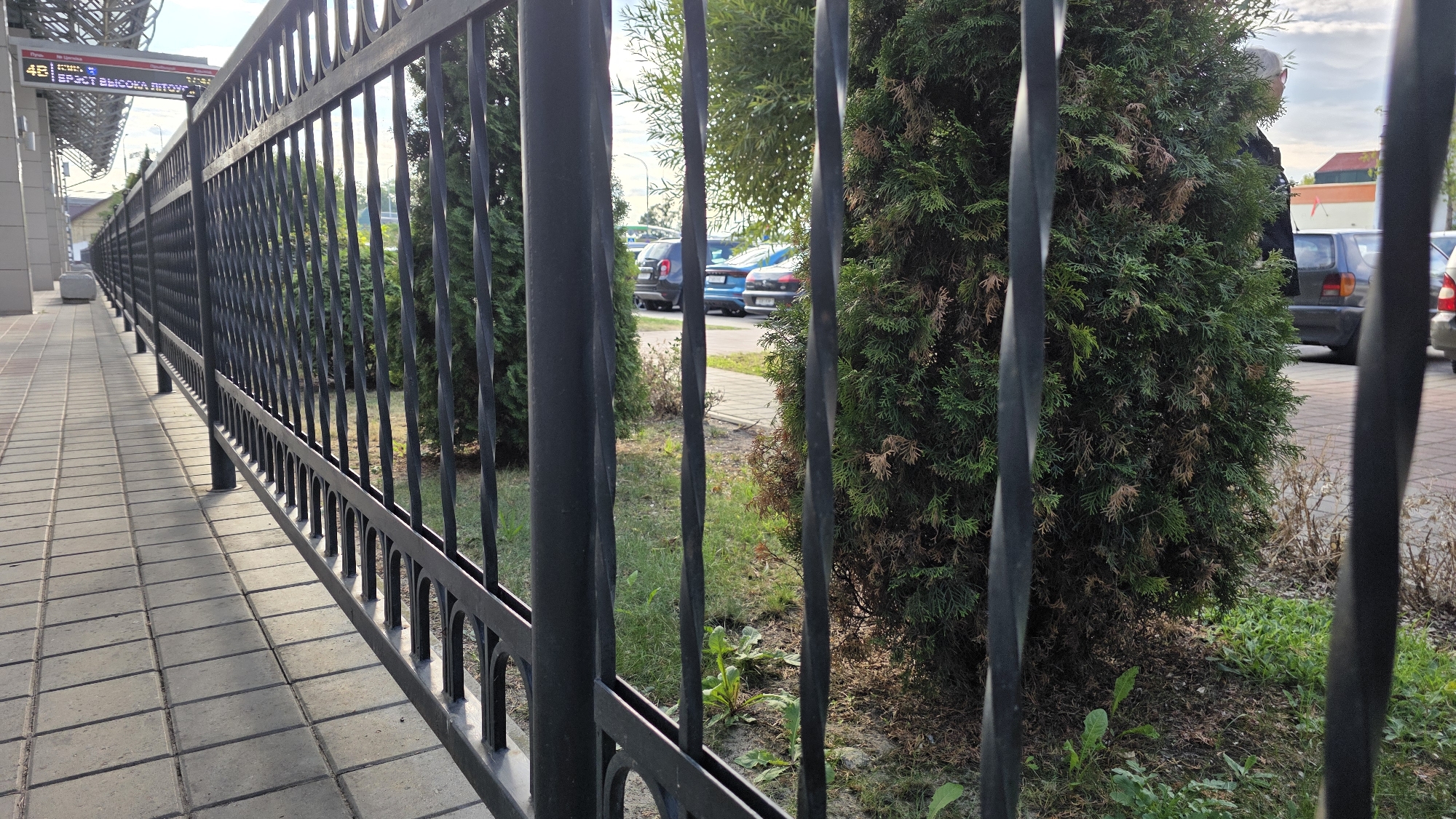 The image shows a black metal fence with a patterned design, separating a paved walkway from an area with green trees and parked cars. The walkway is made of square gray pavers and extends into the distance along the fence. Behind the fence, several evergreen trees are visible, some with dried brown foliage. In the background, two cars are parked: a dark blue hatchback and a dark-colored sedan. Further in the background, there are more trees and buildings, including what appears to be a store or office with an illuminated sign that reads "48 ЕРЗОТ ВЫСОКА ЛІТОУС". The sky is visible with some clouds. The scene appears to be an outdoor area in a city, possibly a park or the grounds of a public building, located in Brest, Belarus. There are no people clearly visible in the image, though a person wearing a light-colored hat and dark clothing is partially obscured by a tree on the right side of the frame. The perspective is low, looking along the fence and towards the parked cars.