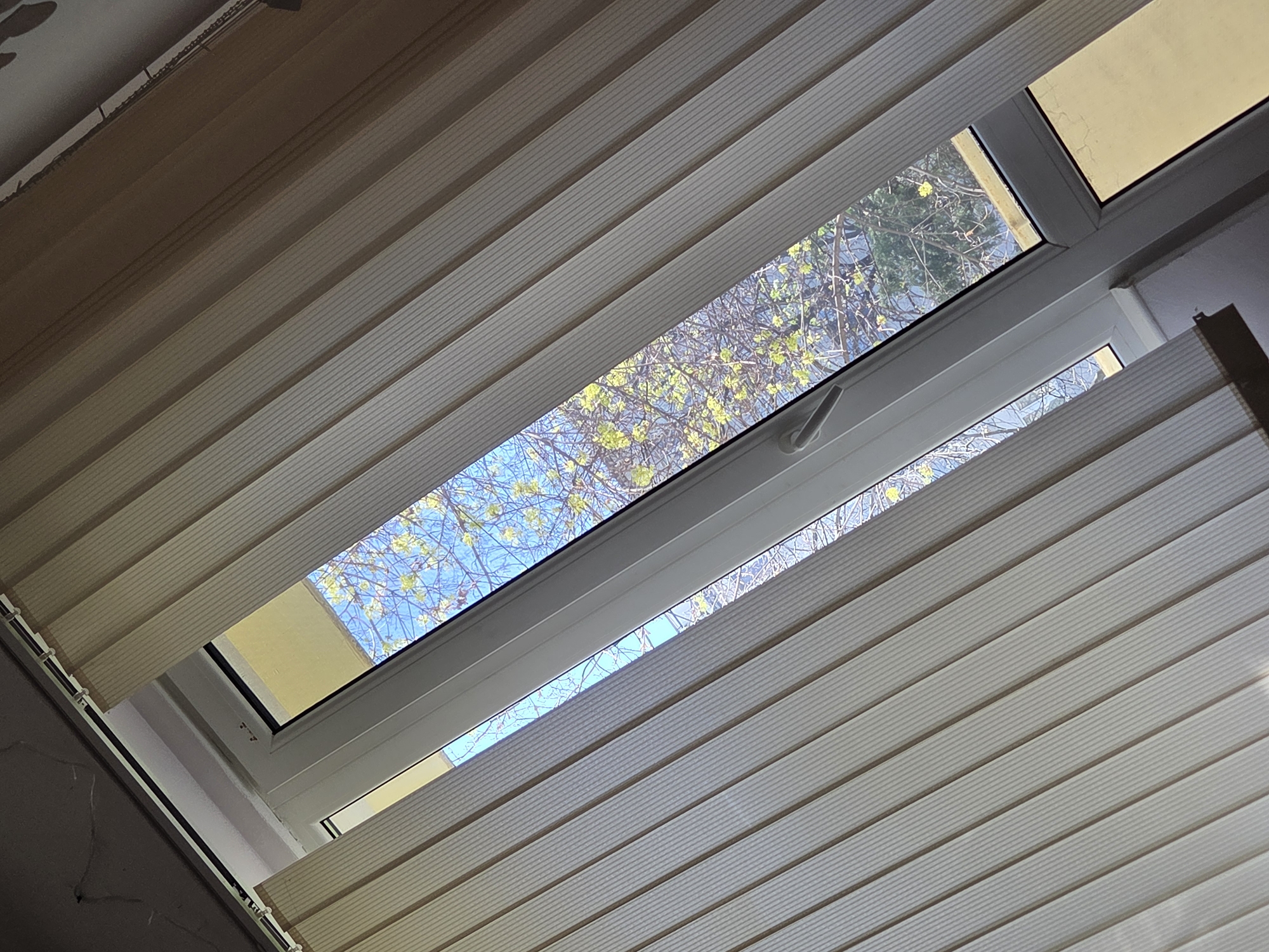 A tilted upward view shows a white-framed window with partially open horizontal blinds. Through the open window, the sky is visible, along with tree branches and a building exterior with a yellow wall. The blinds are beige and white striped. The room appears to be inside a building with the ceiling visible in the corner of the image. The precise location in Pleven, Bulgaria, cannot be determined from the image.