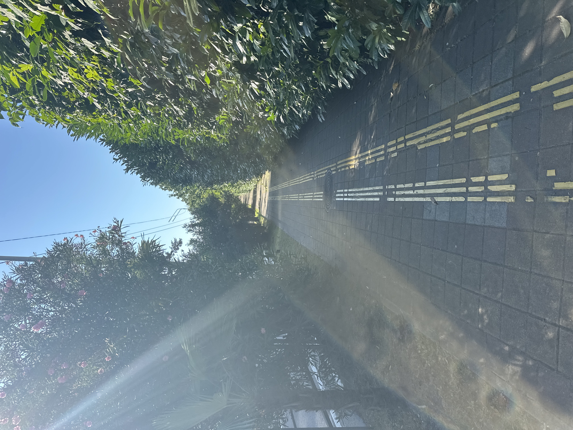 The image shows a perspective view down a paved sidewalk lined with lush green hedges on both sides. The sidewalk is made of dark gray square tiles and is marked with double yellow lines, indicating a path or lane. On the left side of the sidewalk, there are trees with some pink flowers, and on the right, the hedges are dense and well-maintained. The sun is shining brightly, casting shadows on the sidewalk and creating lens flares in the upper left portion of the image. The sky is clear blue. The scene suggests a well-kept public space, likely in a park or along a street in a warm climate. Given the context of Sochi, Russia, this could be a promenade or a pathway in a resort area. There are no people visible in the image.