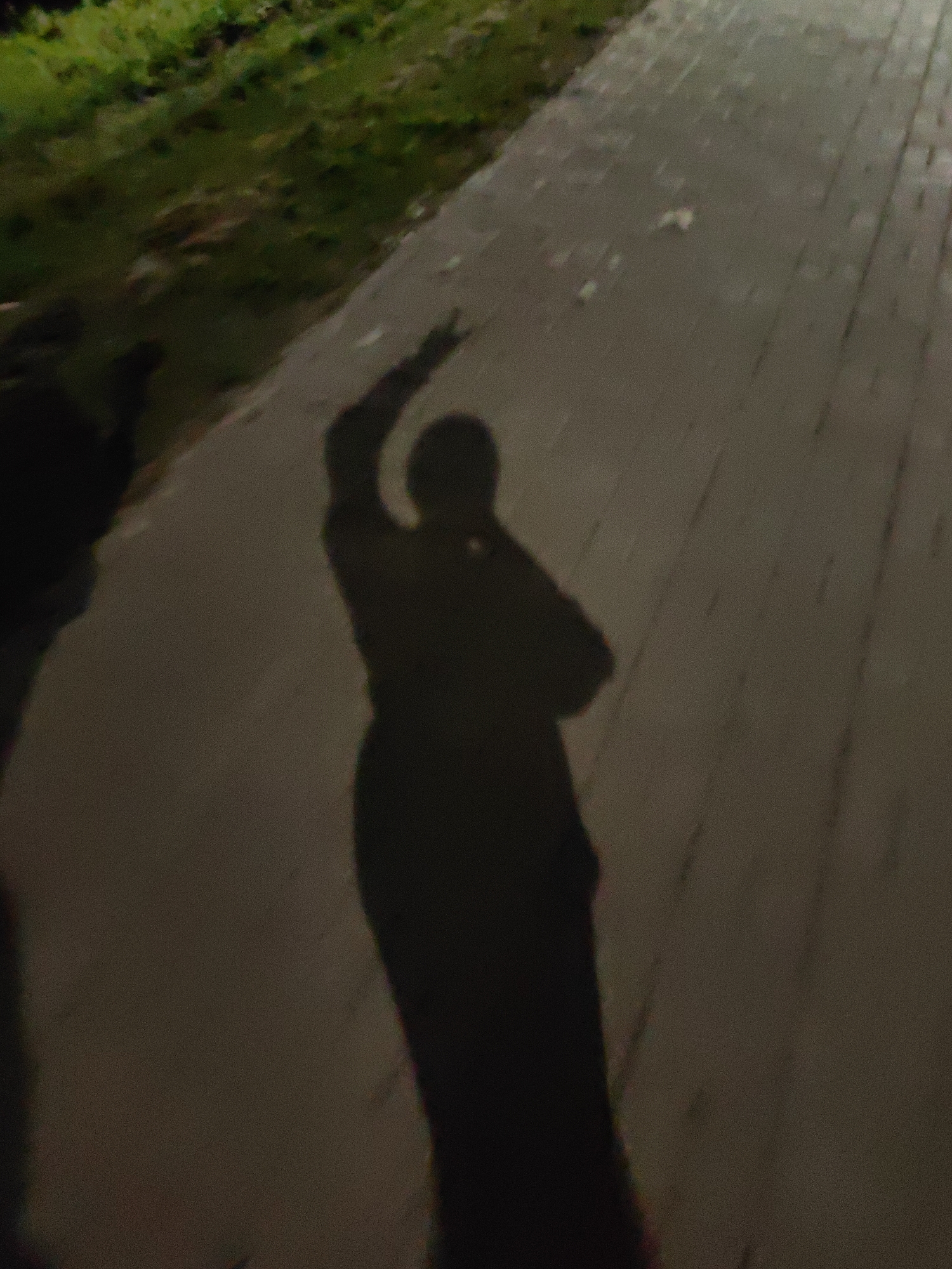 The image shows a shadow of a person with their arm raised in a gesture, possibly a peace sign, on a paved walkway. To the left of the walkway is a grassy area with some foliage. The lighting suggests it is either early morning or late evening. The scene is likely outdoors in a public area within Myadzyel, Belarus.