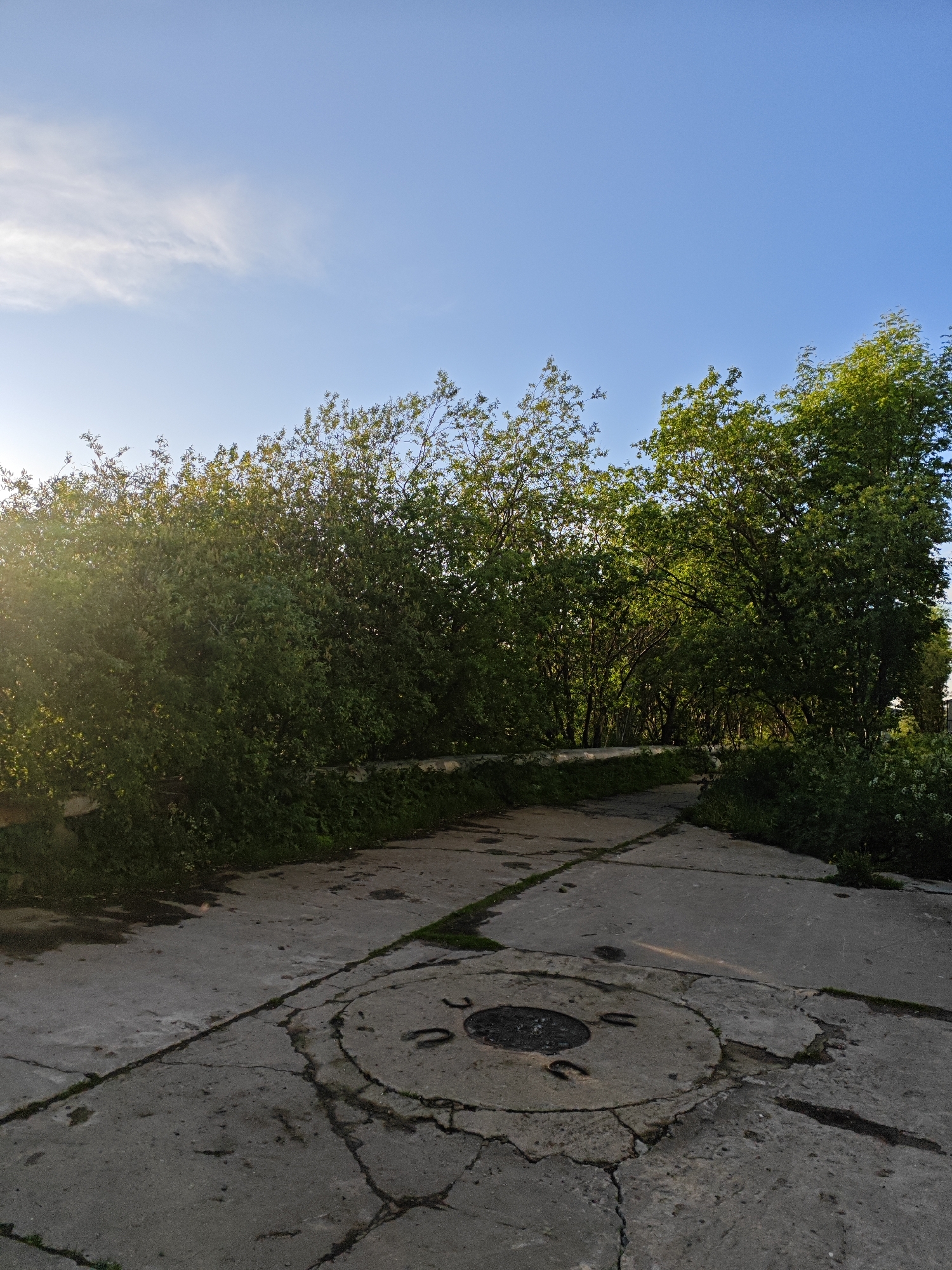 The image depicts a concrete path in a park-like setting, with lush green trees and bushes lining the sides. The sky is a clear blue with a few wispy clouds. In the foreground, a circular concrete structure with a metal grate is visible, integrated into the paved surface. The concrete itself shows signs of wear and tear, with cracks and patches of grass growing between the sections. The sunlight is casting a warm glow, suggesting it is either early morning or late afternoon. The setting appears to be an outdoor recreational area, possibly a promenade or a park path in the city of Polyarny, Russia. There are no people visible in the image.