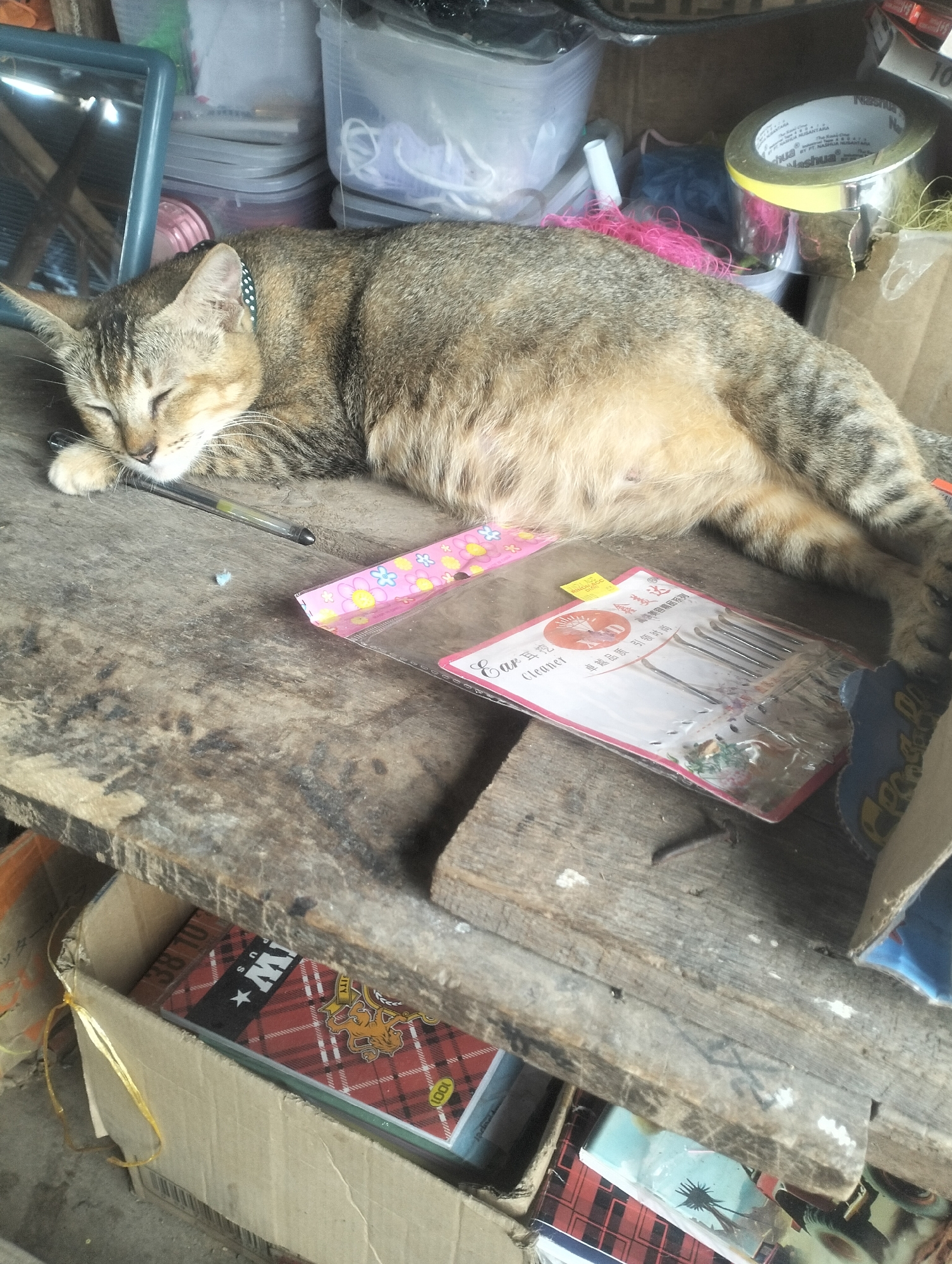 The image depicts a tabby cat sleeping on a worn wooden surface. The cat is lying on its side with its eyes closed and its head resting on its paws. A black and white patterned collar is visible around its neck. To the left of the cat, a small mirror with a blue frame is partially visible, reflecting the surroundings. In the background, various storage containers and spools of thread or yarn are stacked, along with a roll of silver tape. In front of the cat, a pink and white package labeled "Ear Cleaner" is placed on the wooden surface. Below the wooden surface, a cardboard box contains items with red and black plaid patterns. The scene appears to be an indoor or semi-outdoor storage area.