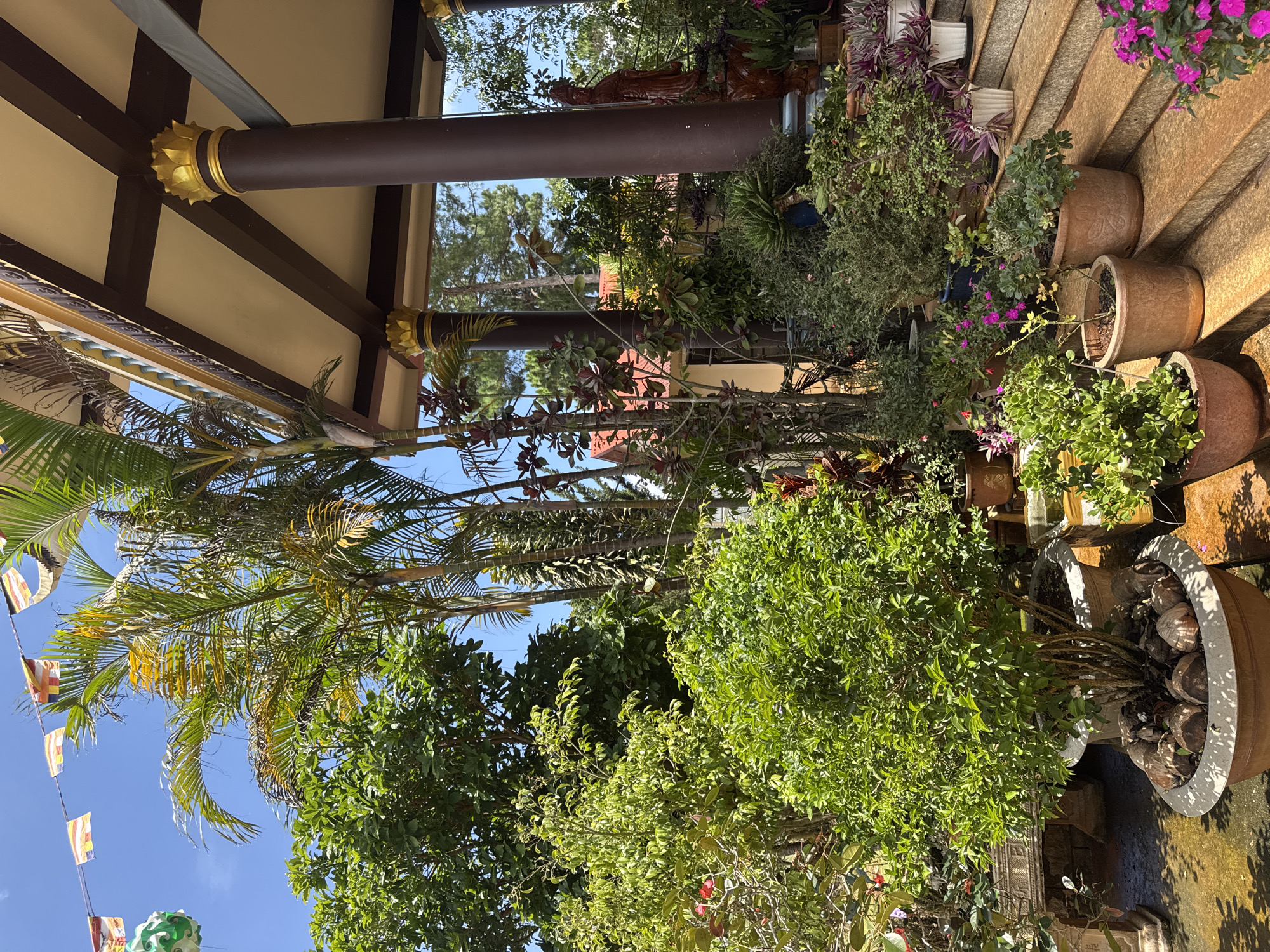 This image shows an outdoor scene in Lạc Dương, Vietnam. The foreground contains a lush assortment of greenery and trees, partially obscuring the blue sky in some areas. In the midground, there are cylindrical brown pillars with golden, lotus-like ornaments at the top, supporting a light tan roof structure with dark brown beams. Behind the pillars, more greenery is visible, and glimpses of structures that appear to be part of a temple or garden are visible. A row of potted plants is visible on a step in the background. Flags are strung across the scene in the upper left. The image is taken from a low angle, looking upwards towards the architecture.