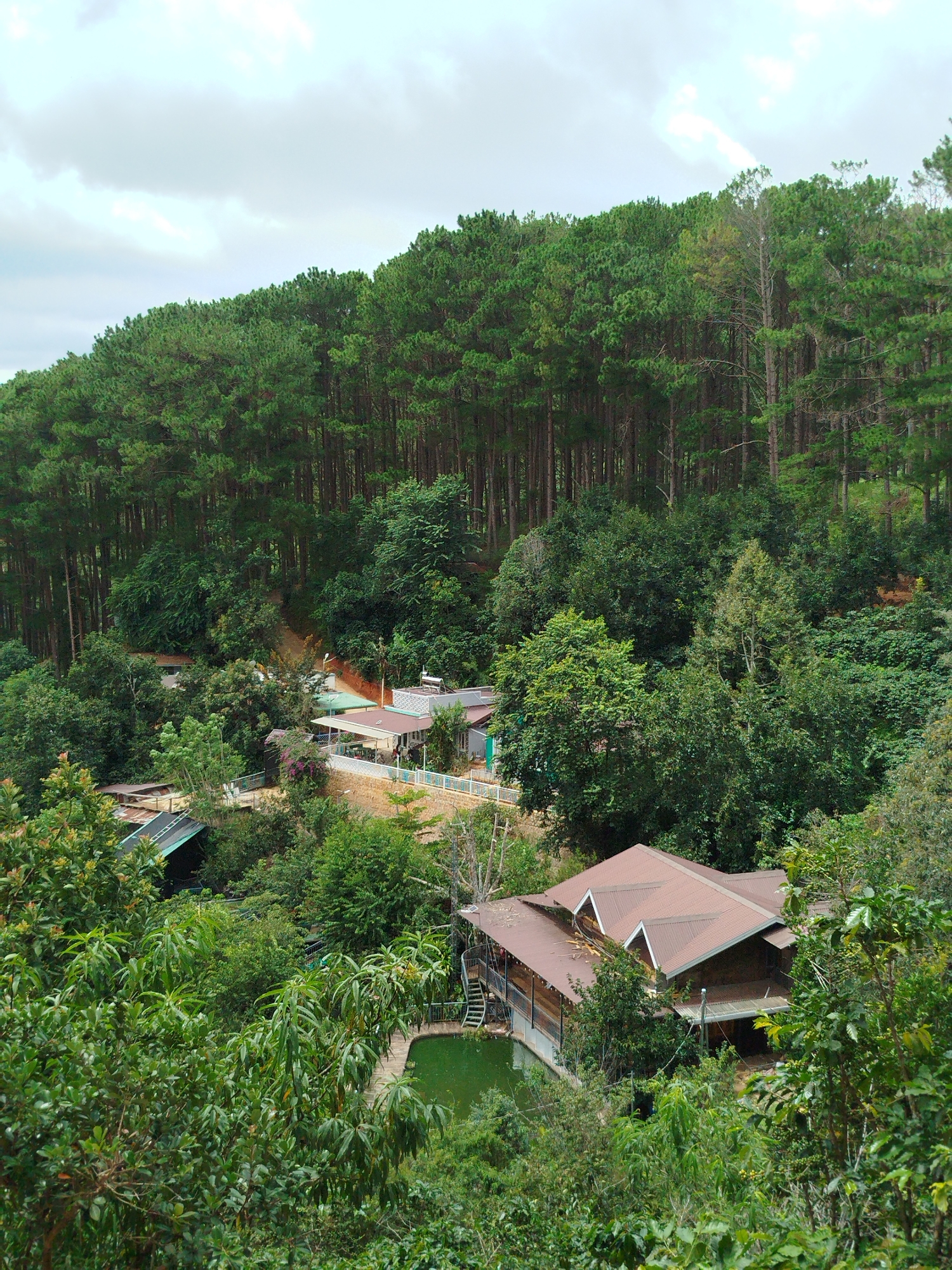 This image depicts a hilly landscape in Da Lat, Vietnam, dominated by a dense forest of pine trees on the upper slopes. Several buildings are nestled within the trees on the lower slopes, appearing to be part of a resort or residential area. In the foreground, a modern house with a brown, pitched roof is visible, overlooking a green swimming pool. A spiral staircase leads down to the pool from a wooden deck. The environment is lush and green, with abundant vegetation, including fruit trees. The sky is overcast with scattered clouds. No people are visible in the image.
