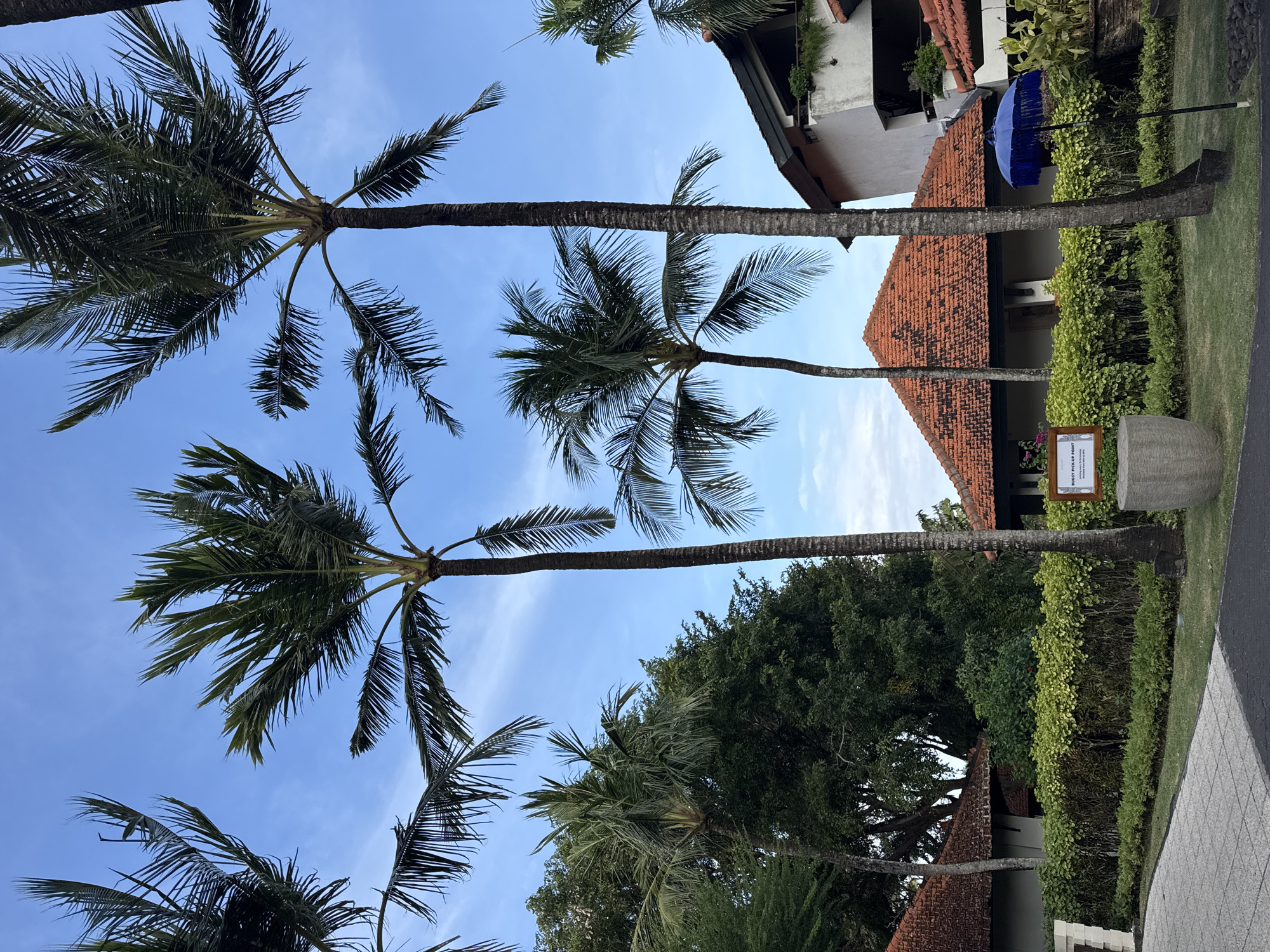The image shows a view looking up at palm trees against a bright blue sky with a few clouds. The scene is in Kuta Selatan, Indonesia. In the background, there is a building with a red tile roof and green foliage. There is a sign, and a large urn or planter, next to a walkway. A blue umbrella is also visible.