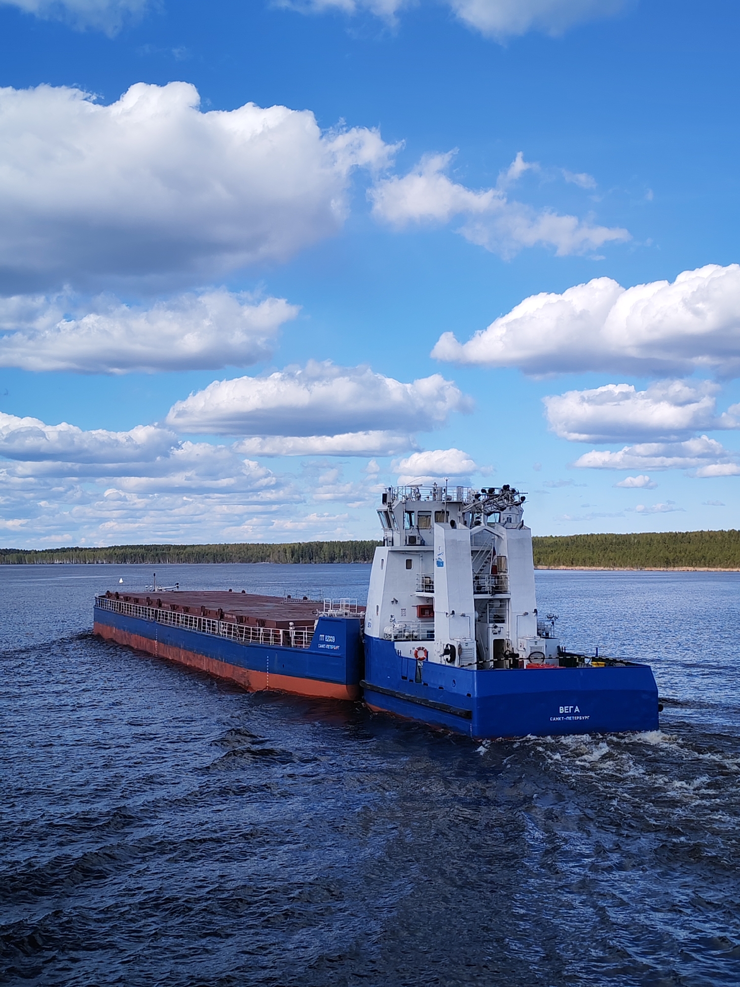 The image depicts a blue and red barge-like vessel traveling on water under a partly cloudy sky. The vessel has a cabin structure with white painted sections. The barge is carrying cargo, visible as a brown or dark material. The water is dark blue and choppy, with white wake visible behind the vessel. A strip of green trees lines the distant shore. The location is potentially Topornya, Russia, as the vessel is labeled as being from Saint Petersburg and is in a landscape consistent with inland waterways of Russia. No people are directly visible.