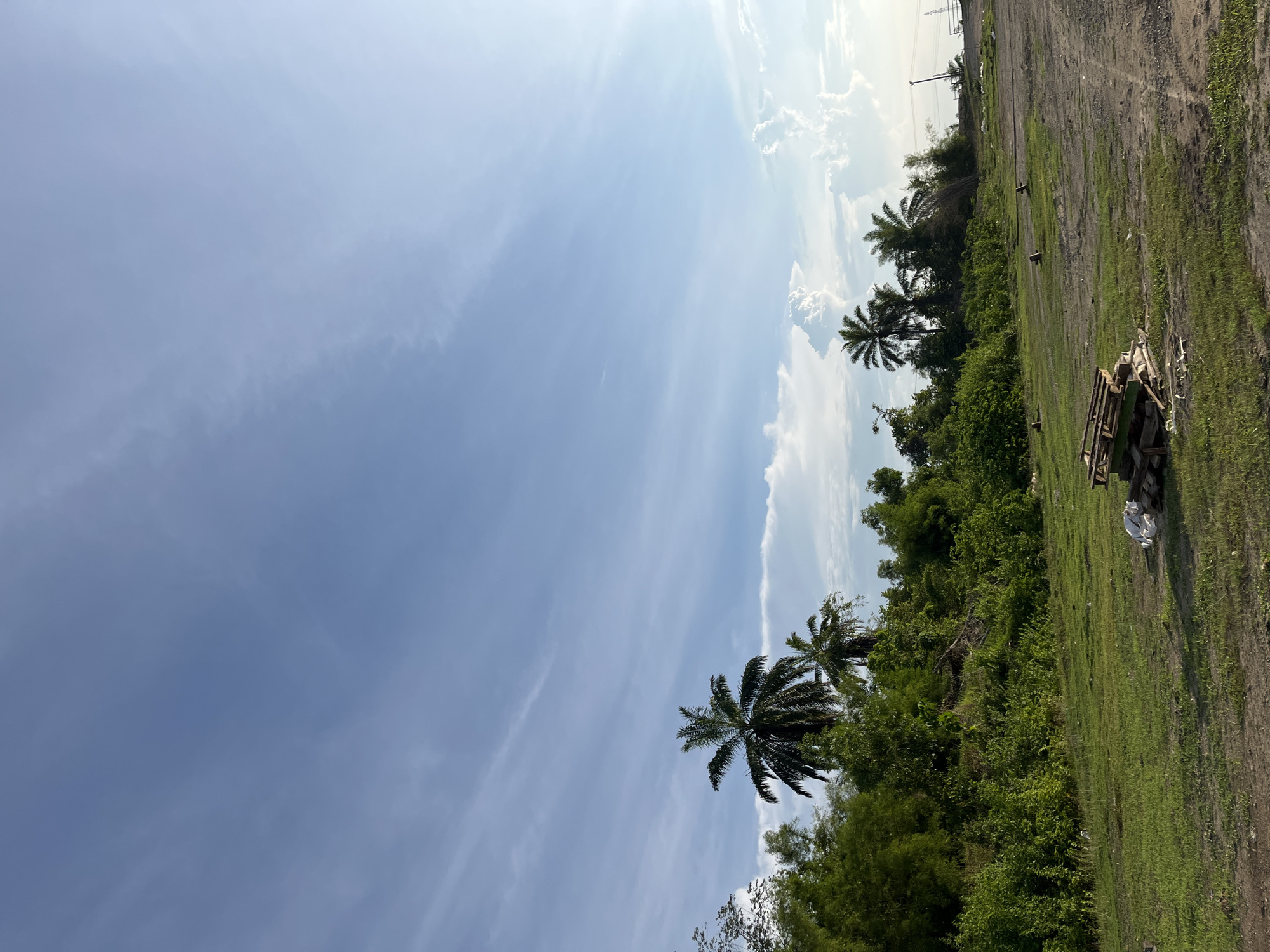 This image captures an outdoor scene in Sukaramai Dua, Indonesia, characterized by a bright, clear sky with wispy clouds. The foreground consists of a grassy area and a dirt patch, with a small pile of wooden pallets and some white bags in the lower center. Beyond this, a dense line of lush green vegetation, including bamboo and palm trees, stretches across the middle ground. In the background, utility poles and some distant structures are visible against the horizon. The overall impression is one of a rural or semi-developed area under a sunny sky.