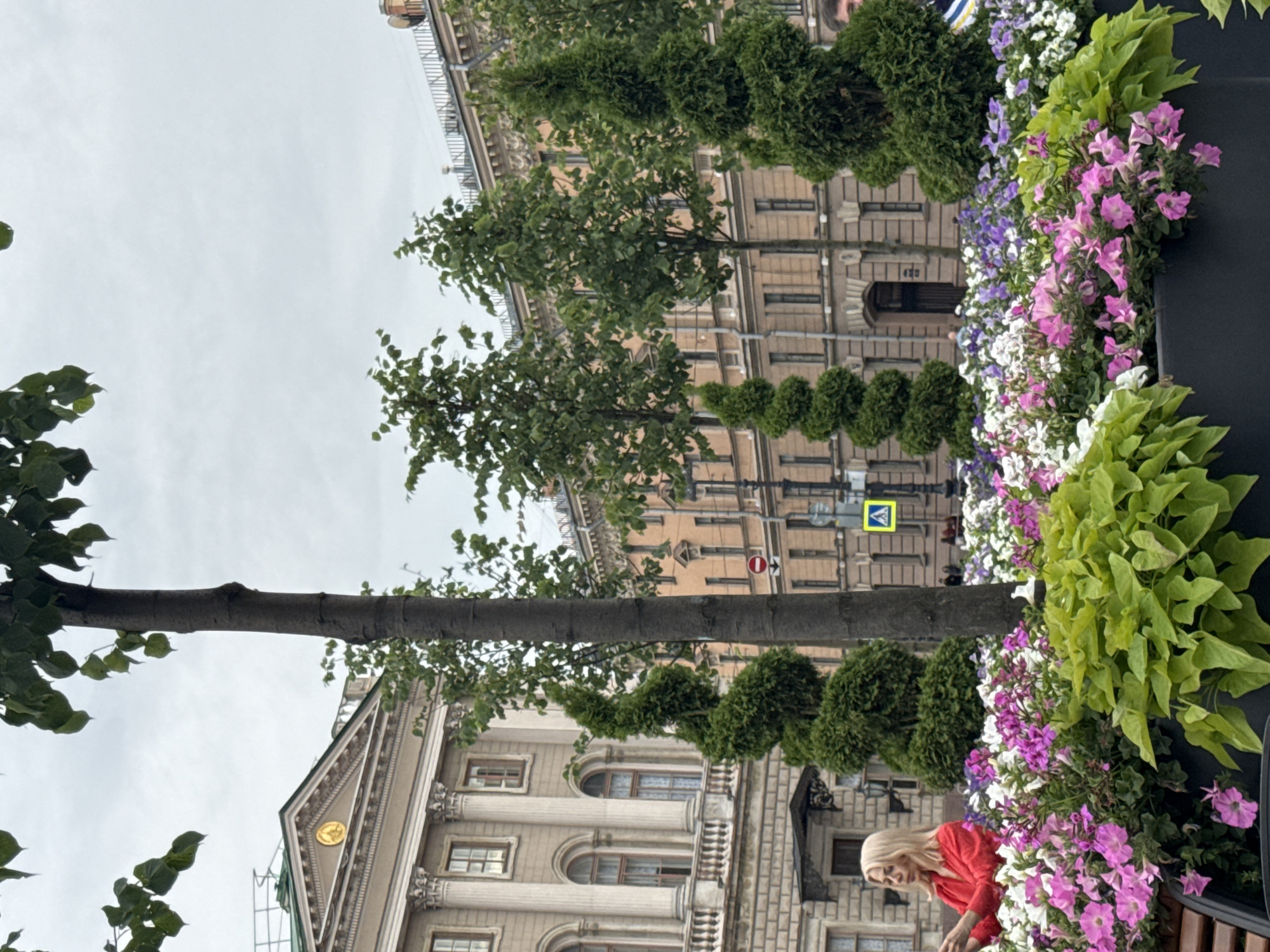 The image captures a street scene in Saint Petersburg, Russia, likely in the city center, given the classical architecture. In the foreground, a woman with blonde hair, wearing a red top, is partially visible, holding a phone. She is positioned behind a planter filled with a variety of colorful flowers, including pink petunias and other flowering plants. To the left of the woman, a large, ornate building with columns and arched windows is visible. Behind the woman and the flowers, several trees are planted, including two prominently featured spiral-shaped evergreen trees. In the background, more buildings with a distinctive architectural style, common in Saint Petersburg, line the street. The sky is overcast. A yellow pedestrian crossing sign is visible on the right side of the image, indicating a street or intersection.