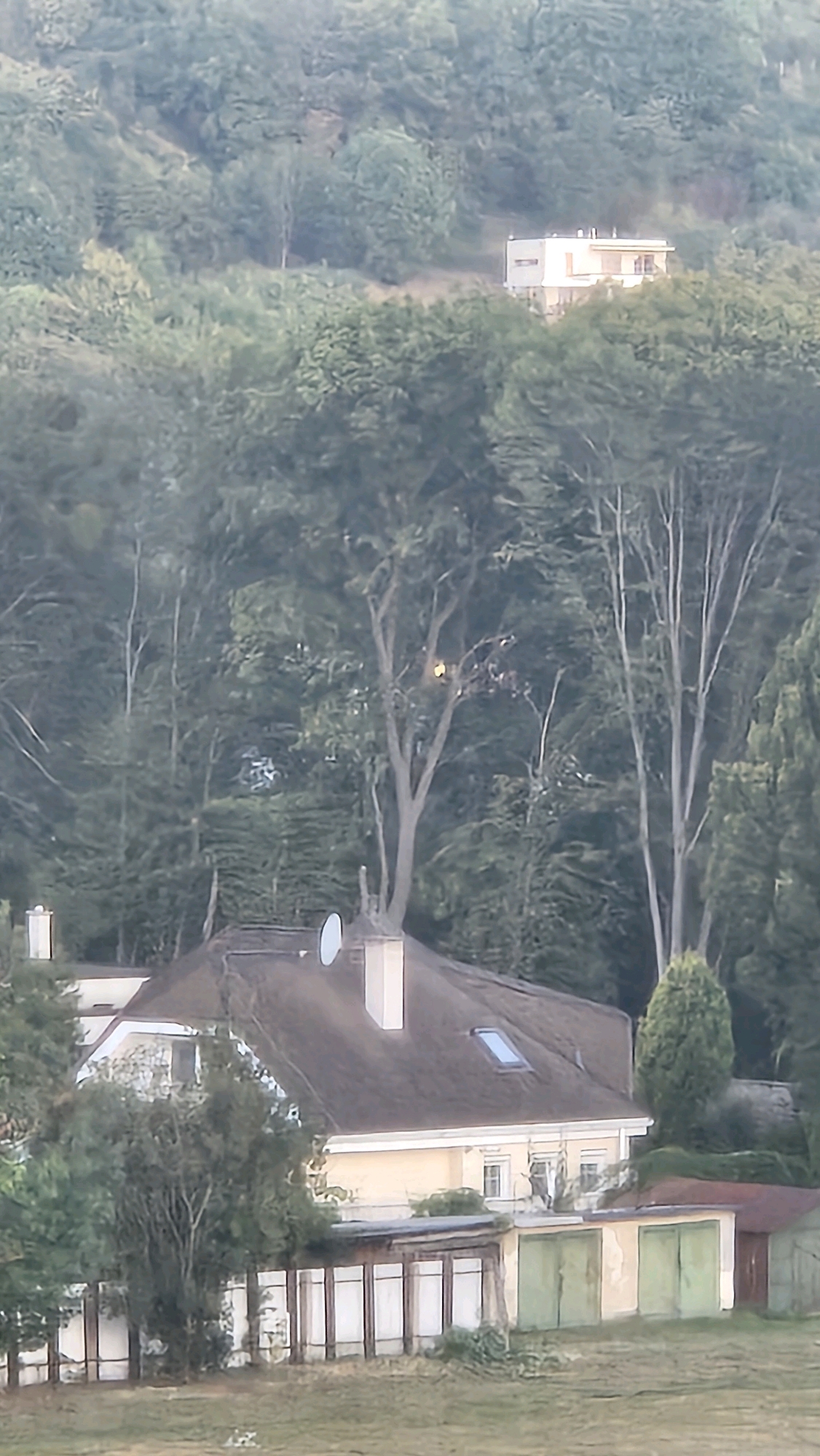 The image depicts a residential area nestled within a verdant, hilly landscape, consistent with the outskirts of Prešov, Slovakia. In the foreground, a light-colored, two-story house with a dark brown roof is visible. The house features multiple windows, a skylight on the roof, and is partially obscured by trees and shrubbery. Adjacent to this main house is a structure with multiple garage doors, painted green. A white fence runs along the property line. In the background, a smaller, white building with a flat roof is situated higher up on the hill, surrounded by dense trees. The overall impression is one of a tranquil, semi-rural setting within or on the edge of the city.