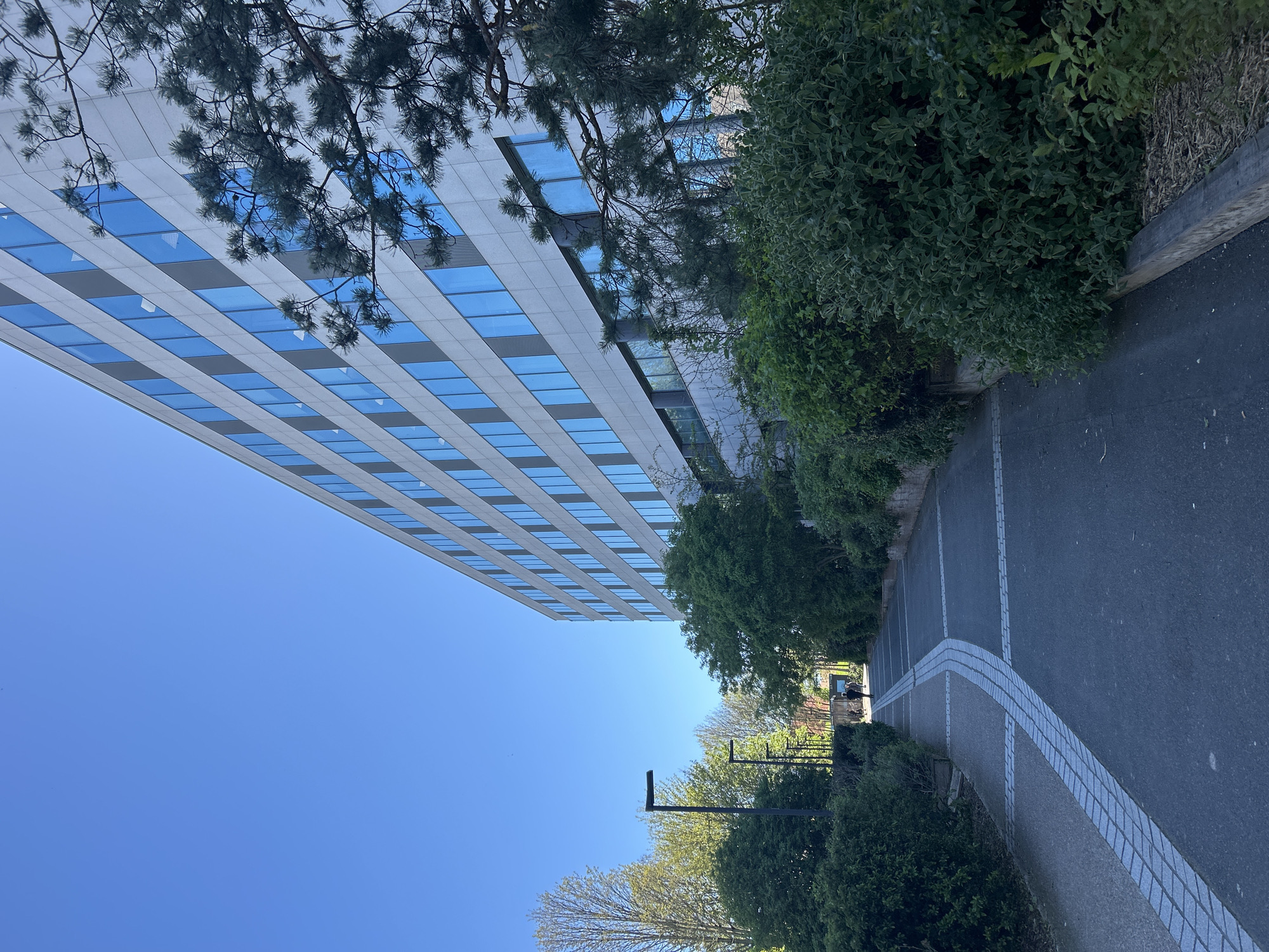 The image shows an exterior view of a tall office building. The building has a white facade with rectangular blue-tinted windows. Some green trees and foliage are positioned between the building and the road. A dark-colored paved road with white striped markings is visible. A row of black streetlights can be seen. The sky is blue and clear. The location appears to be in an urban or suburban area, and the city is unknown.