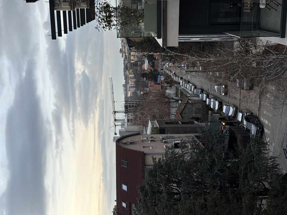 The image presents an elevated, panoramic view of an urban or suburban landscape under an overcast sky. The perspective suggests the photo was taken from a building, possibly a balcony or window, looking down onto streets and across a valley or gentle incline towards a distant city.
The sky, occupying the top half of the image, is heavily clouded with varying shades of grey and white, transitioning to a softer, yellowish-white glow closer to the horizon, hinting at either dawn, dusk, or heavily diffused light on an overcast day.
In the immediate foreground, on the left side, parts of the architectural structure from where the photo is taken are visible: a dark, slatted railing or partition, and beyond it, some dark green foliage from what appears to be a dense, coniferous tree or bush. Below this foliage, towards the bottom left, is a building with light-colored walls and a distinctive reddish-brown tiled roof that has a rounded or curved section and several dormer windows.
Running through the middle ground, from the right side towards the left, is a street lined with buildings and bare deciduous trees, indicating a colder season like winter or early spring. Numerous cars are parked in a neat row along the right side of the street, most of them light-colored (white, silver). A few vehicles are visible on the road, with one showing a faint yellowish glow from its headlights. Near the parked cars and bare trees, a traffic light with a yellow signal is visible, alongside a circular red traffic sign with a white horizontal bar, typically signifying "No Entry" or "Do Not Enter."
Further in the mid-distance, a large construction site can be seen, dominated by at least two prominent tower cranes, one significantly taller than the other, suggesting ongoing development. Surrounding buildings vary in style, with some having tiled roofs and others featuring more modern, darker facades and glass elements, some of which reflect the cloudy sky.
The background, stretching into the distance towards the top right, reveals a sprawling cityscape or town built on undulating terrain, with numerous houses and buildings clustered together, becoming less distinct with distance. The overall mood is quiet and slightly muted due to the overcast weather. No people are clearly visible, and the scene captures a moment of ordinary urban life.