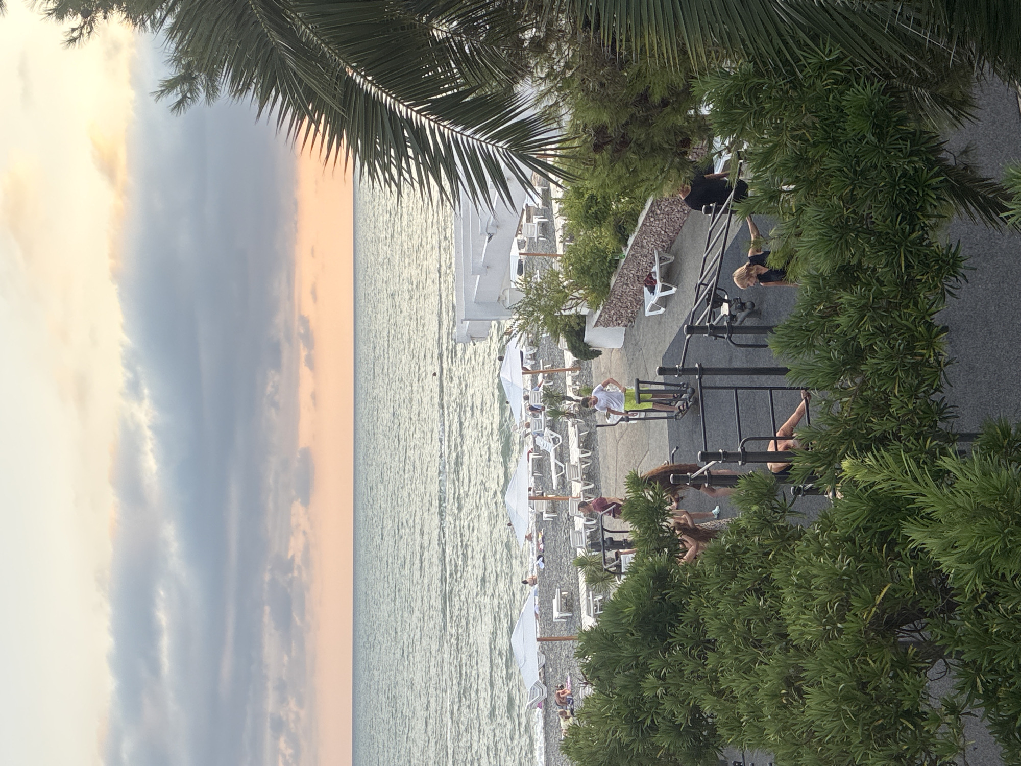 This image depicts an outdoor exercise area and a beach scene. In the foreground, there is an outdoor gym with various exercise equipment and several people engaged in physical activity. To the right, a palm tree frond is visible. Behind the gym, a beach is set up with lounge chairs and umbrellas, and people are relaxing on the pebble beach and in the sea. The sea is calm with gentle waves. In the background, the sky is a mix of clouds and pastel colors, suggesting either sunrise or sunset. This scene is located on the coast of Sochi, Russia, a Black Sea resort city.