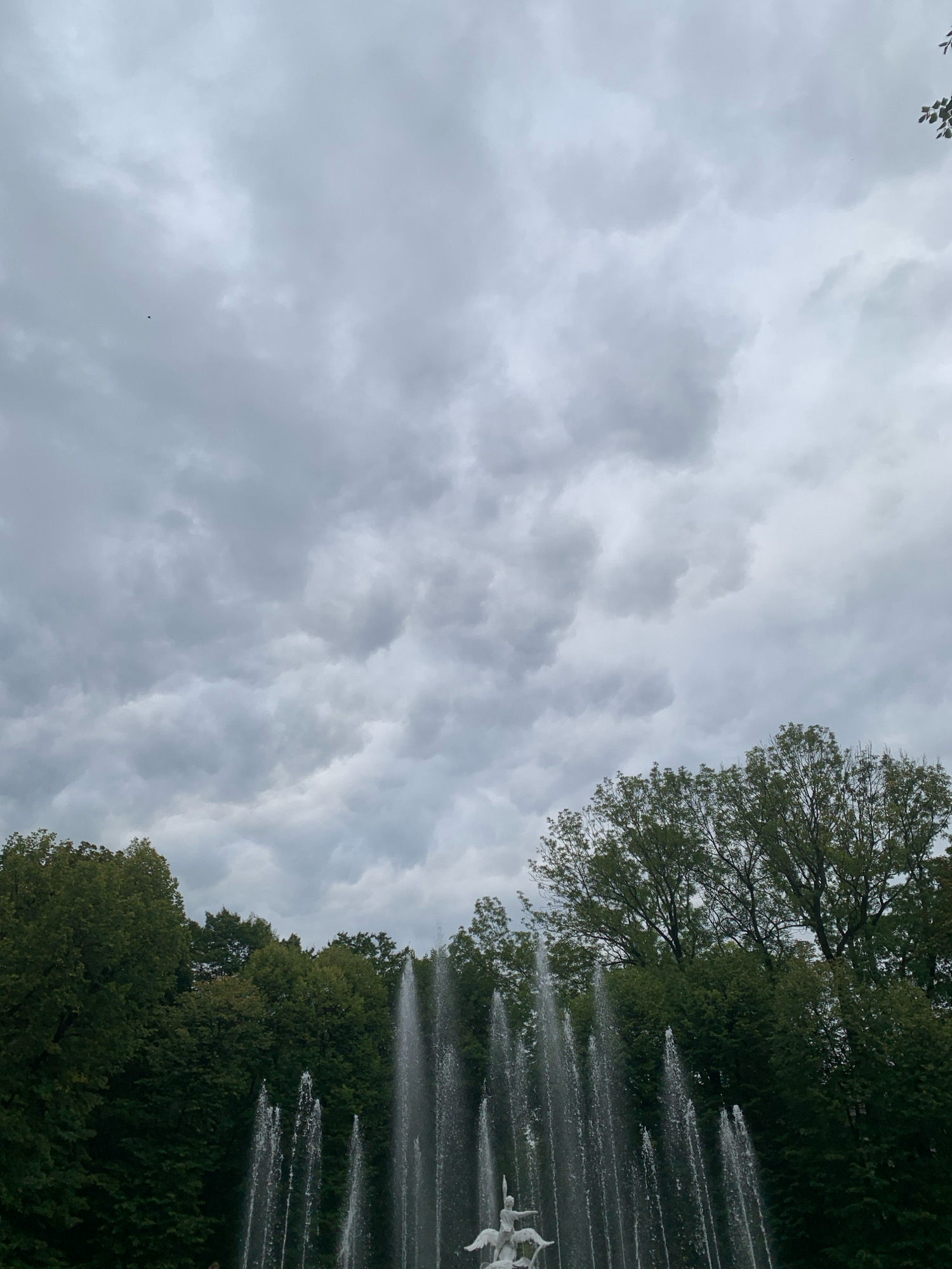 The image shows a fountain with multiple water jets, surrounded by lush green trees. The sky above is cloudy and overcast, suggesting a temperate climate. A small, dark object, possibly a bird, is visible in the upper left portion of the sky. In the foreground, part of a white sculptural element is visible at the base of the fountain. The fountain and trees suggest a park or garden setting. The location is identified as Lviv, Ukraine.