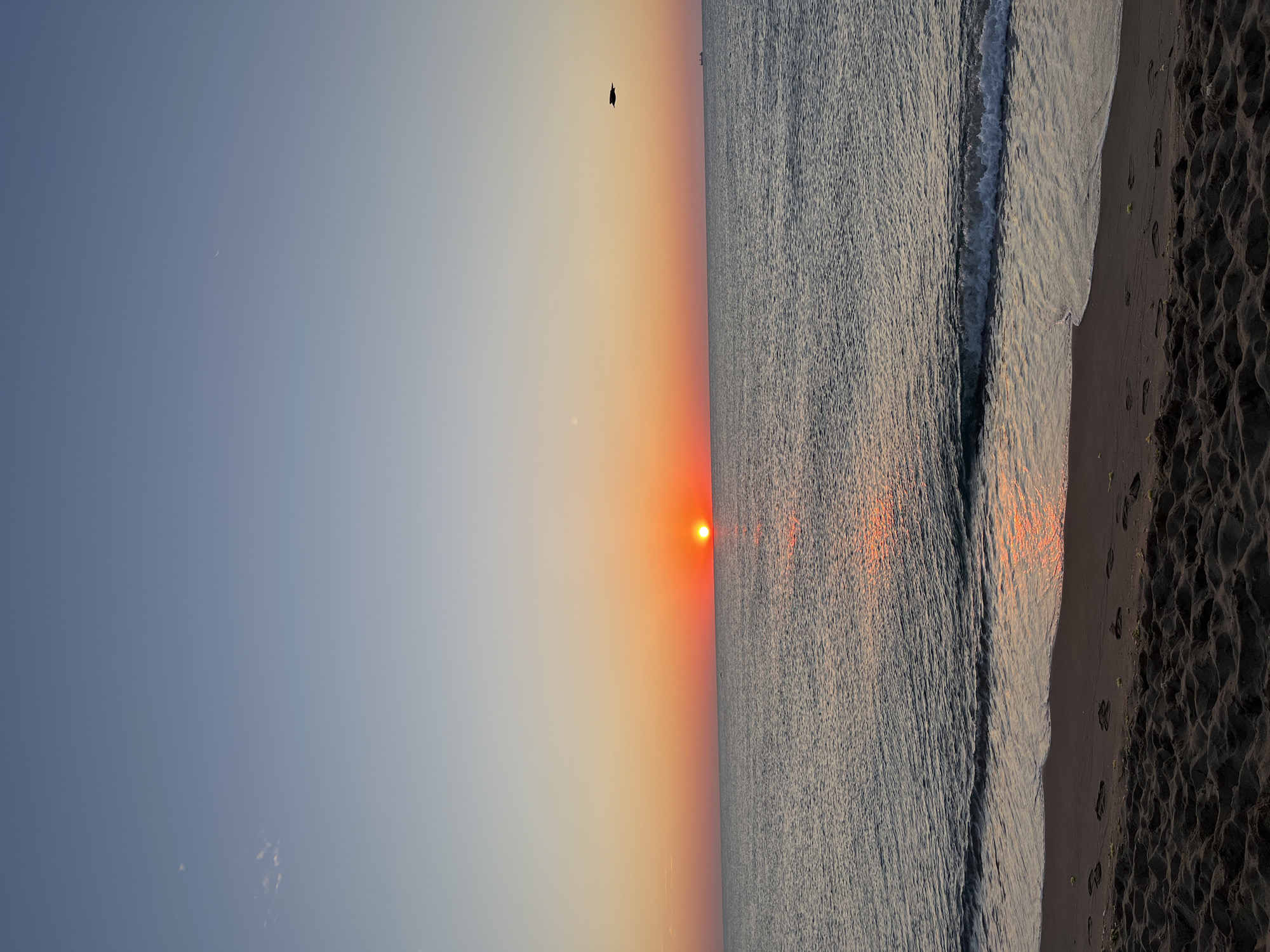 The image depicts a sunrise over the Black Sea at Obzor, Bulgaria. The sun is a bright orange orb, partially obscured by the horizon, casting a warm glow across the sky and sea. The sky transitions from a pale blue at the top to a vibrant orange and pink near the horizon. Small, wispy clouds are visible in the upper left quadrant of the sky. The sea is calm with gentle waves lapping at the sandy shore in the foreground. Footprints are visible in the damp sand near the water's edge. A single bird is silhouetted against the sky in flight, to the right of the sun. In the far distance, on the horizon, a small ship is visible. The overall scene evokes a sense of tranquility and natural beauty at the beginning of a new day.