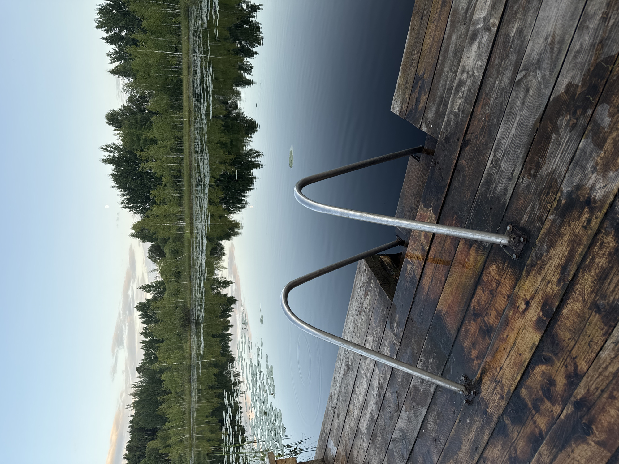 A wooden dock with metal railings extends into a calm body of water. Trees with green foliage are reflected in the dark water, creating a mirrored image of the shoreline. Lily pads dot the surface of the water near the reflection of the trees. The sky is a light blue with some wispy clouds, suggesting it is either early morning or late evening. The wooden planks of the dock appear wet, indicating recent rain or dew. The scene is tranquil and evokes a sense of peacefulness. The image is oriented vertically.