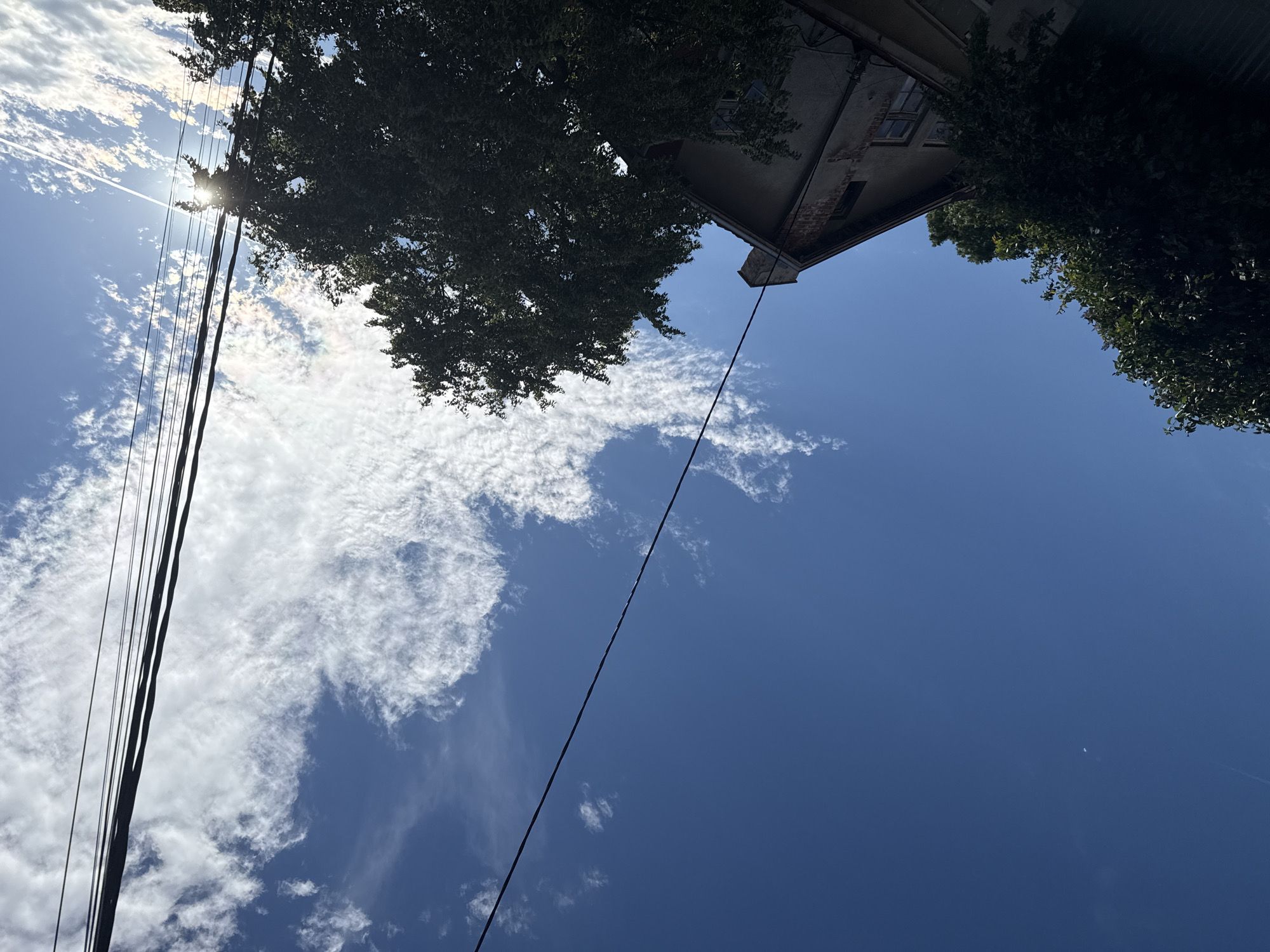 The image shows a view looking up at a bright blue sky with scattered white clouds. In the upper left quadrant, several black utility wires are stretched across the frame. In the upper right quadrant, the sun is partially obscured by the leaves of a large, dark green tree, creating a sunburst effect. Below the tree and slightly to the right, the roofline of a weathered, multi-story building is visible, with red brick accents and at least two windows. The building appears to be in an urban or suburban setting. The overall impression is of a sunny day in an outdoor urban environment. The image has been captured in Sofia, Bulgaria.