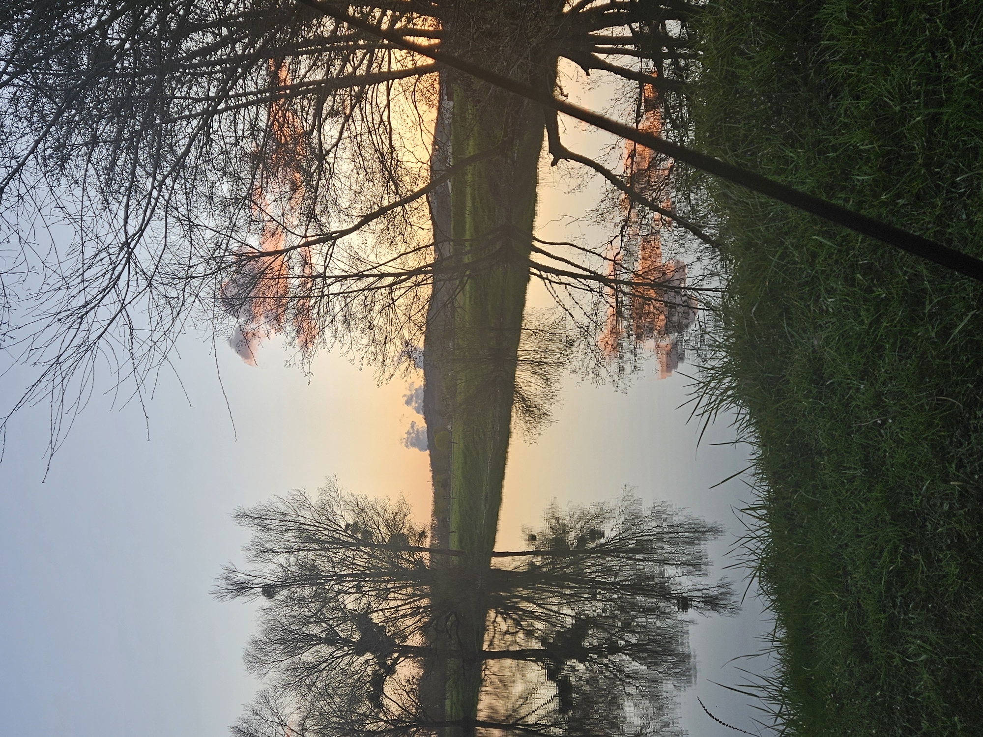 The image shows an upside-down view of a landscape, likely a reflection in water. Bare trees are prominent in the upper part of the image, silhouetted against an orange and blue sky, possibly at sunrise or sunset. Grass and a field or shoreline are seen in the right portion. The inverted view suggests the scene is a reflection, perhaps in a calm body of water. Based on the prompt's information, it is plausible this photograph was taken in Gavisse, France.