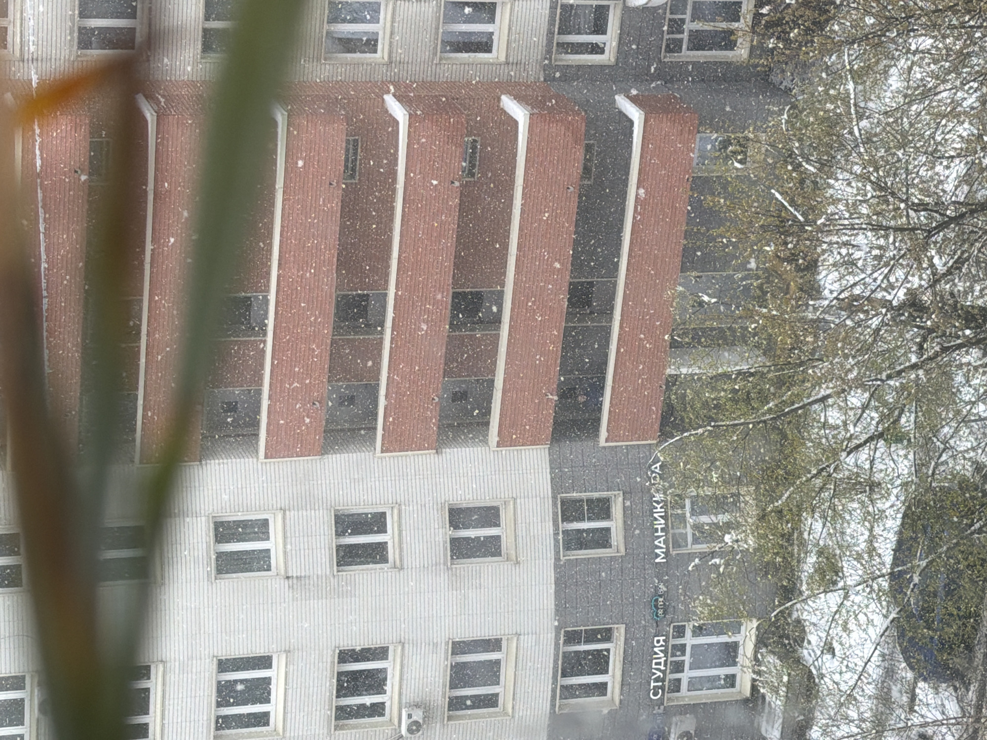 The image, rotated 90 degrees clockwise, captures an urban scene during a heavy snowfall, viewed from an elevated perspective. A blurred green-brown plant or branch occupies the immediate foreground, partially obscuring the left side of the frame.
A multi-story building, likely commercial or residential, dominates the background. Its upper section features several prominent, reddish-brown, vertical architectural protrusions with lighter-colored tops, creating a distinct pattern against the falling snow. Below these, the building transitions to a light gray facade with numerous rectangular windows, each accumulating visible snowflakes. Further to the right, the building's exterior shifts to a darker gray paneling, also featuring similar windows. Snowflakes are actively falling across the entire scene, visible against the building's surface, in the air, and lightly dusting tree branches.
To the right of the building, the bare, intricate branches of a tree, covered in a light layer of snow, are silhouetted against the bright, overcast winter sky. The atmosphere suggests a cold, wintery day.
On the darker gray section of the building's facade, Cyrillic text is clearly visible. It spells out "СТУДИЯ" (STUDIYA), meaning "Studio," followed by "МАНИКЮРА" (MANIKYURA), meaning "Manicure," indicating a business. Smaller, less legible text is also present beneath "СТУДИЯ." The scene is set in an urban or suburban environment, consistent with the given location of Khimki, Russia.