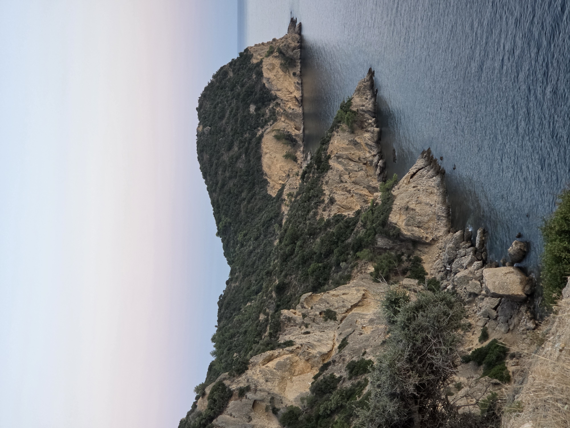 A vertical, high-angle outdoor shot captures a rugged coastline under a twilight sky. The scene is dominated by a steep, rocky cliff face covered in dense green foliage, extending from the foreground and curving towards the right. The rocks are a pale, sandy brown, showing signs of erosion and featuring small crevices. The sea, a deep, muted blue, occupies the right side of the frame, lapping gently against the base of the cliffs. In the distance, a larger, rounded headland, also cloaked in vegetation, juts out into the water. The sky above transitions from a soft, pale pink near the horizon to a light blue at the top, suggesting either dawn or dusk. Two figures, small and indistinct due to the distance, stand near the water's edge on a rocky outcrop in the middle ground. The overall impression is one of natural, untamed coastal beauty.