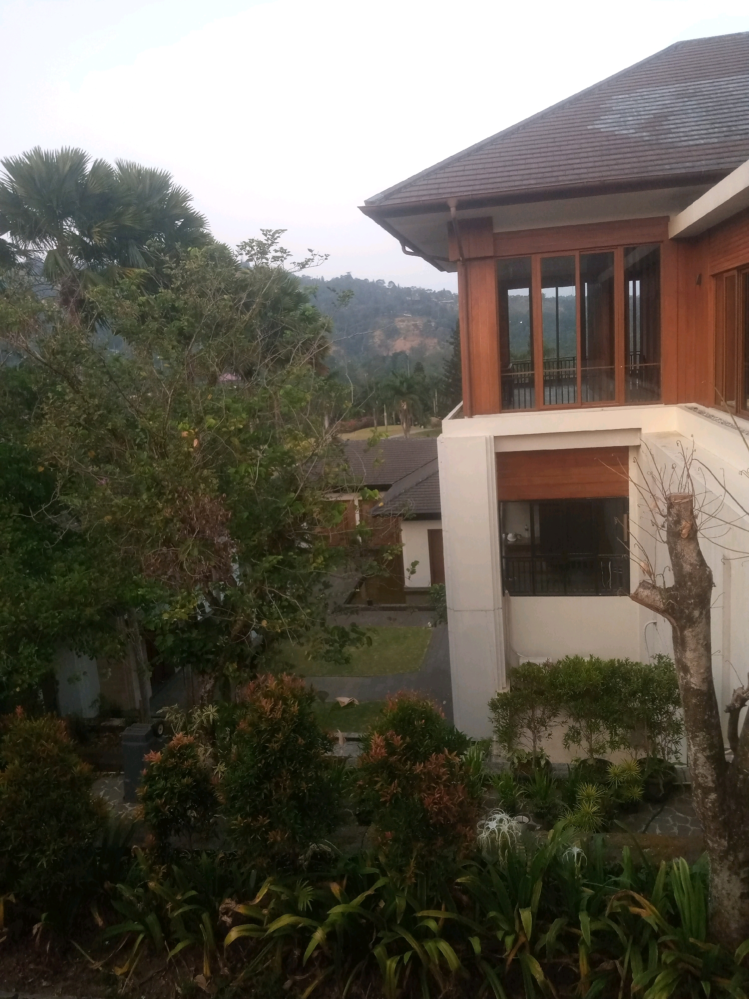 The image depicts a modern building with a brown, tiled roof and wooden paneling, situated amidst lush greenery and rolling hills. The building features large glass windows that reflect the surrounding landscape. In the foreground, a variety of plants and trees are visible, including palm trees and bushes with reddish leaves. The overall scene suggests a tropical or subtropical environment, possibly a resort or a luxury residence, consistent with the location of Babakan Madang, Indonesia, known for its scenic beauty and upscale developments. The lighting suggests it is either early morning or late afternoon, with a soft, diffused light illuminating the scene. There are no people visible in the image.