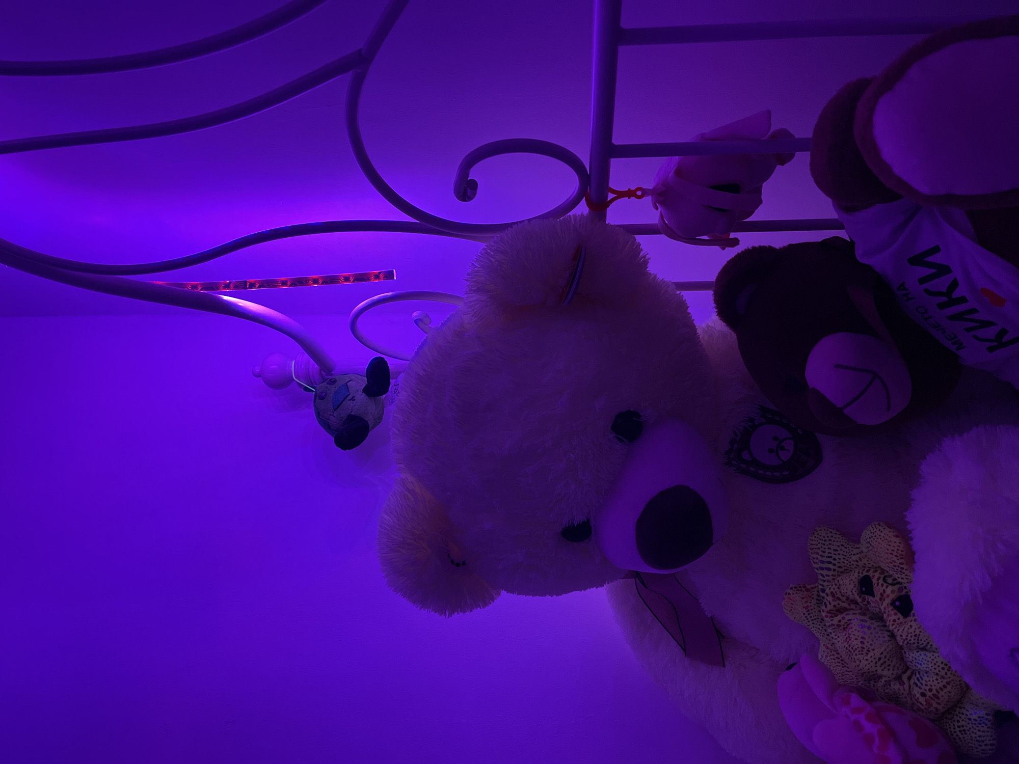 The image depicts a close-up, low-angle shot of several teddy bears and stuffed toys illuminated by purple ambient lighting, possibly from LED strips, against a plain wall and a section of a white metal bed frame. The foreground is dominated by a large, light-colored teddy bear. Partially visible in front of it is a smaller, brown teddy bear wearing a white t-shirt with green text that appears to be Cyrillic, reading "МЕЧЕТО НА КИКИ". Another yellow stuffed toy with a patterned fabric is positioned in front of the large bear. A small, light pink stuffed animal hangs from the bed frame, and a small blue and grey stuffed toy is suspended from above. The overall atmosphere is soft and dreamlike due to the lighting and the plush nature of the subjects. There is no visible indication of the city of Totleben, Bulgaria, or any specific urban environment within the frame.