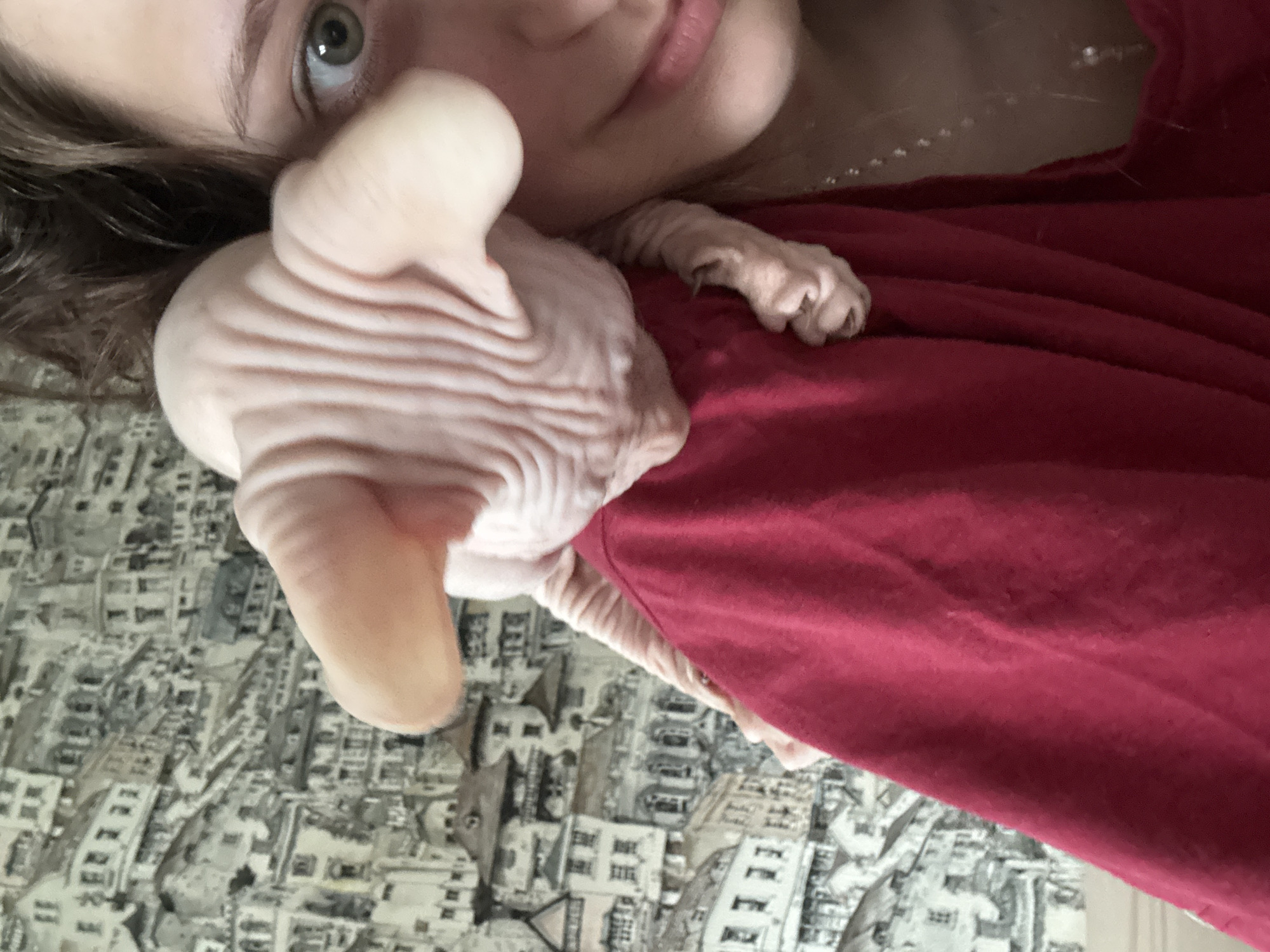 The image shows a close-up of a person's face and shoulder, with a Sphynx cat perched on their shoulder. The person has brown hair and green eyes, and is wearing a red shirt. The background is a wallpaper with a repeating pattern of buildings, resembling an old European city. The lighting suggests an indoor setting. The cat is pinkish-skinned and has large ears, with its head resting near the person's face. The overall impression is a candid moment between a person and their pet. There is no information in the image that can determine the location in Krasnoyarsk, Russia.