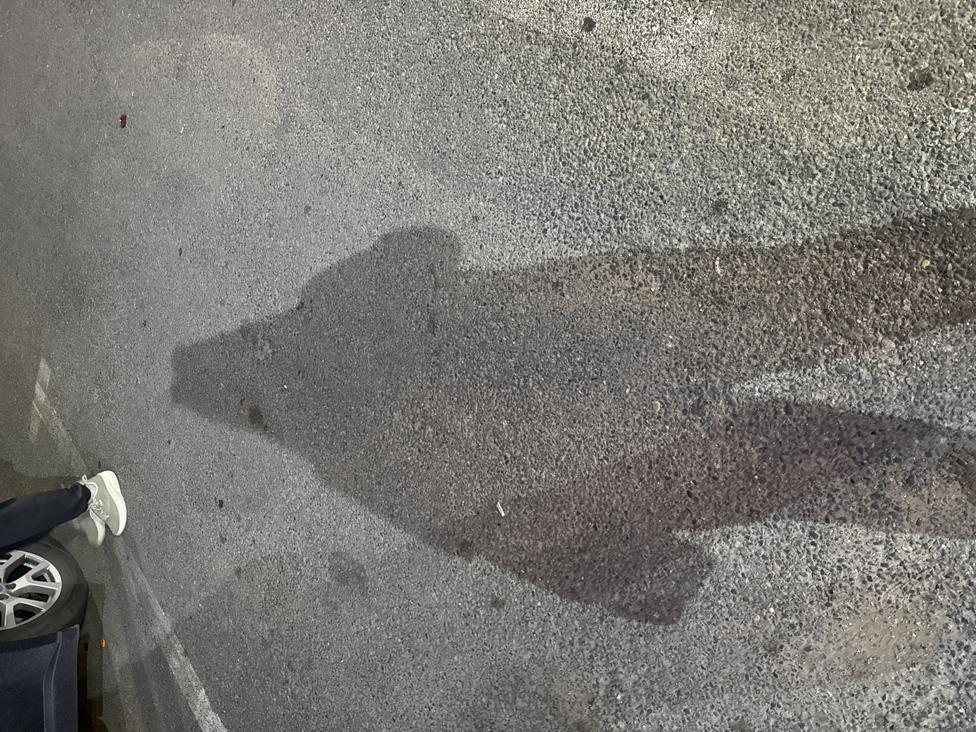 The image provides an overhead view of an asphalt surface, likely a parking lot or street, located in Myskhako, Russia. On the lower left side, the lower part of a person's leg, clad in dark trousers and a grey and white athletic shoe, is visible. Adjacent to the foot is the top portion of a silver alloy car wheel and a dark vehicle body.
Prominent features of the scene are the long, dark shadows cast across the textured asphalt. A large, distinct shadow in the central part of the frame has an irregular shape, somewhat resembling the silhouette of a crouching animal or figure. Another elongated shadow extends from the right side of the frame towards the center. These sharp, lengthy shadows suggest that the photograph was taken during either early morning or late afternoon, when the sun is low in the sky.
Scattered on the asphalt are a few small items: a tiny, reddish object is visible near the top-left, and a white cigarette butt lies near the center-right, just below one of the shadows. Faint white painted lines, indicative of parking spaces or road markings, can be discerned on the surface. No discernible text is visible in the image.