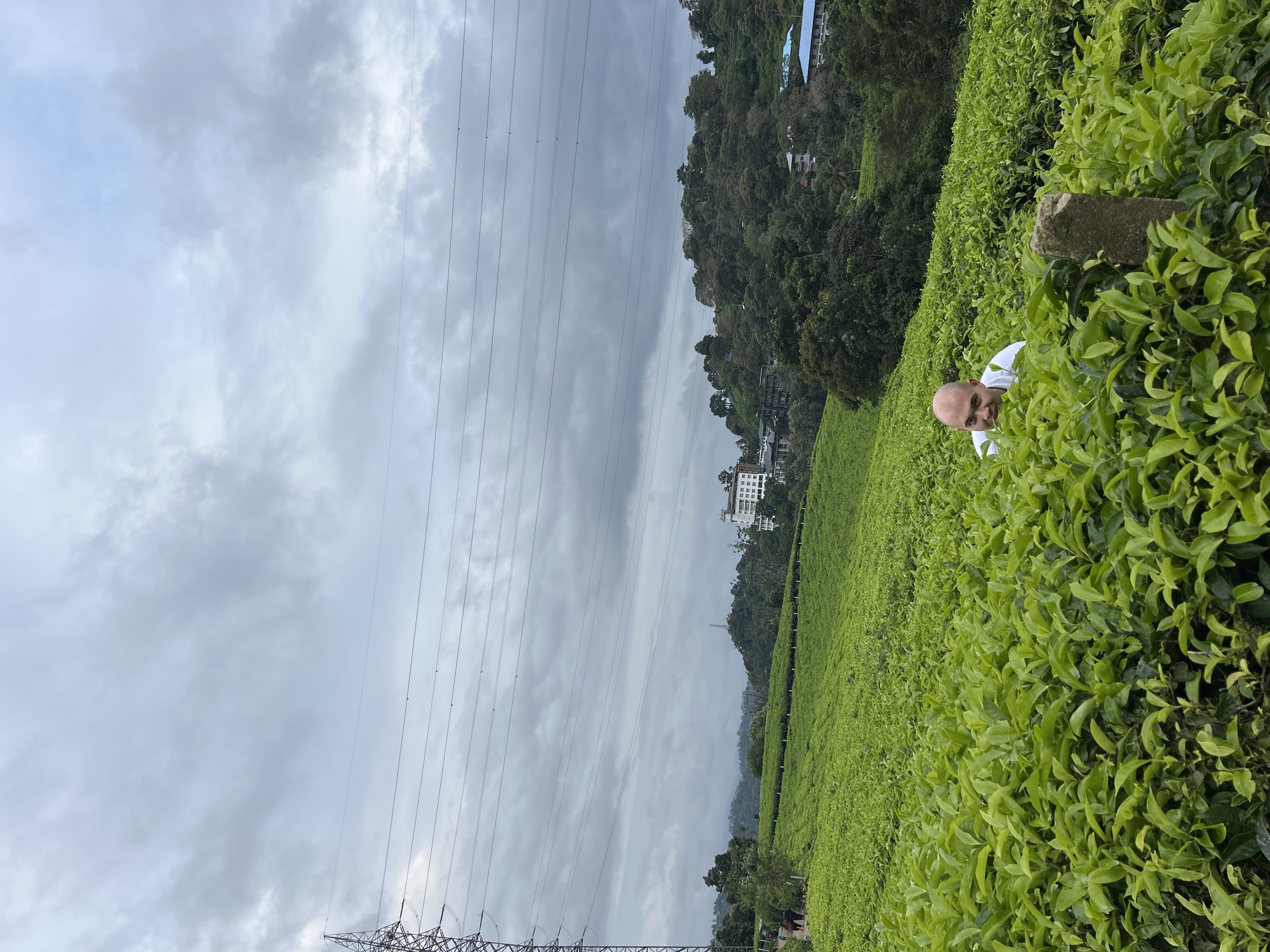 The image depicts a vast tea plantation stretching across rolling hillsides under an overcast sky in Pallivasal, India. In the right foreground, a man with a bald head and a white shirt is peeking out from the dense, vibrant green tea bushes, looking directly at the camera with a subtle smile. A small, rough stone marker is also visible within the tea plants near him.
The meticulously arranged tea bushes form a verdant carpet over the landscape, extending into the midground. Beyond the plantations, the background reveals densely forested hills, with several buildings, including a prominent multi-story white structure, nestled among the trees. The sky is largely grey and cloudy, suggesting an overcast day. Numerous power lines traverse the upper portion of the frame, originating from a large metal power pylon visible on the far left. The overall scene captures a rural, hilly environment characterized by agricultural land and natural scenery. There is no visible text in the image.