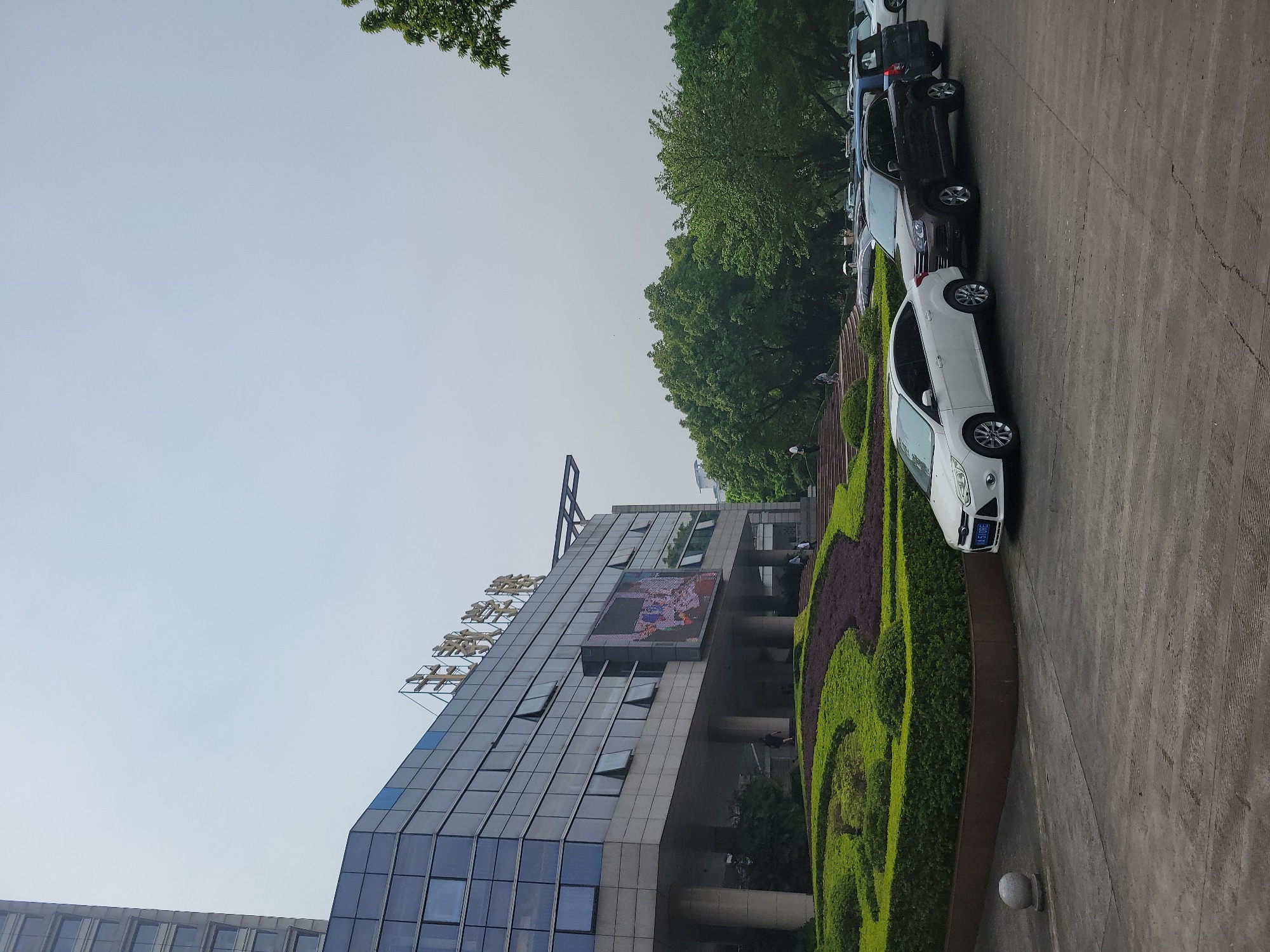 The image shows a street scene in Shapingba District, China. A modern building with glass windows and a large LED screen displays an advertisement. Landscaped greenery is visible in front of the building, alongside a row of parked cars. The sky is overcast.