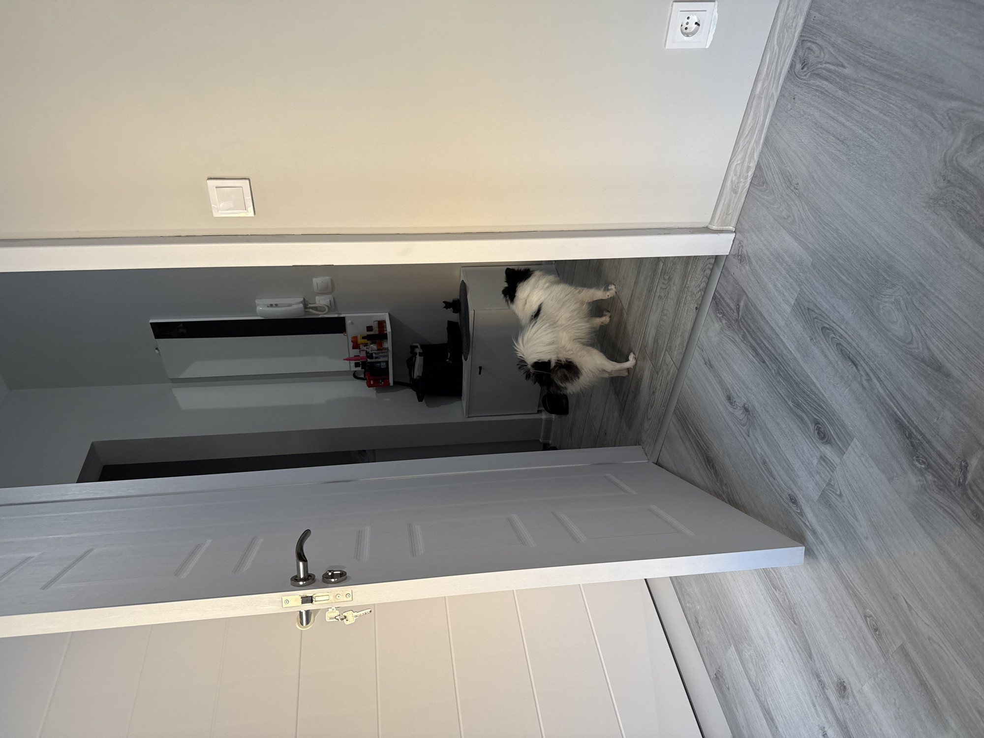 The photo is taken from a high angle looking down at a slightly open door into a room. The door is white with horizontal recessed panels and a silver handle. The door opens onto a room with white walls and light gray wood-look flooring. There is a small, white and black dog in the room, near the doorway. The background room has a white built-in unit with a mirror and shelves containing various items. Based on the style of the room and the power outlet visible, this image was taken in Europe. Given the user's location, it is likely this scene is in Stara Zagora, Bulgaria.