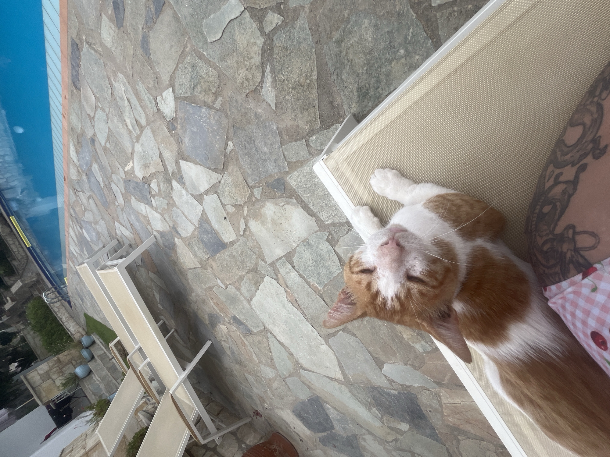 The image depicts a relaxed orange and white cat lying on a light-colored lounge chair by a swimming pool. The ground is paved with irregular gray flagstones. In the background, there are more lounge chairs, potted plants, and a portion of a swimming pool with blue water. The scene appears to be an outdoor area, likely a private residence or hotel, in Exopoli, Greece. The cat is resting with its eyes closed and paws outstretched. A person's tattooed leg is visible in the lower right corner of the frame.