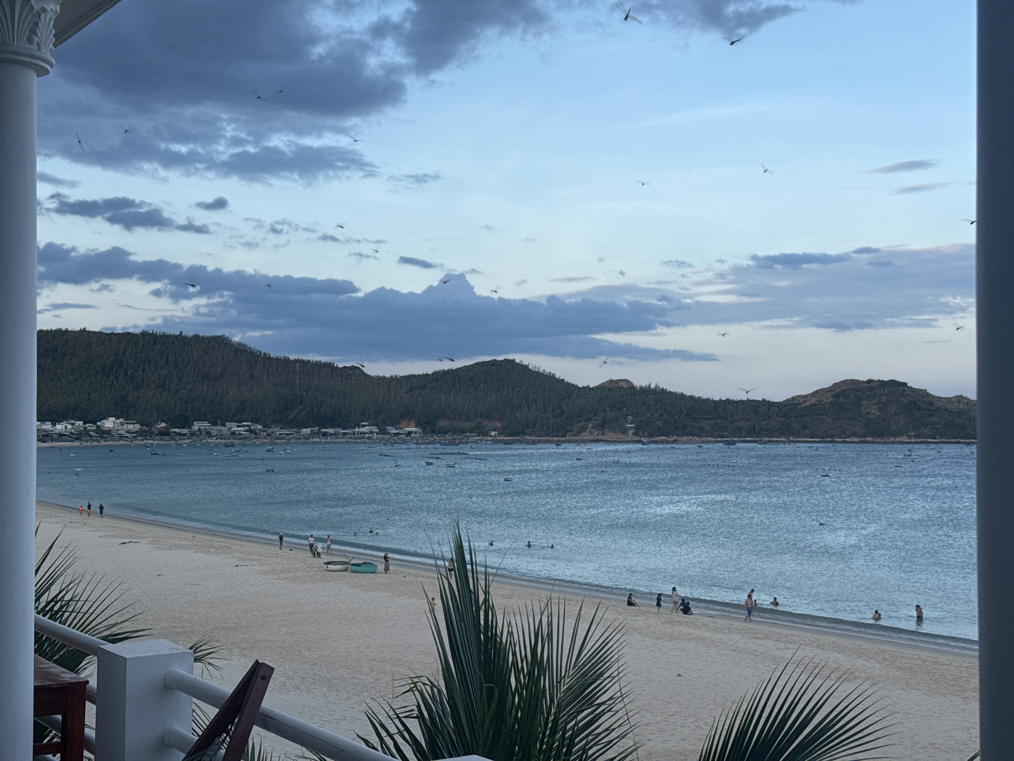 The image depicts a serene beach scene at dusk or dawn, possibly in Vietnam, given the style of boats and architecture visible. The sky is a blend of soft blues and grays with scattered clouds, and several dragonflies are visible in flight. A wide sandy beach stretches along a calm, blue ocean. Numerous small boats are anchored in the water near the shore. On the beach, a few individuals are walking, and some are swimming in the shallow water. In the foreground, a white railing and lush green palm fronds are visible, suggesting the viewpoint is from a balcony or veranda. A forested hillside with a small village nestled at its base forms the backdrop to the beach.