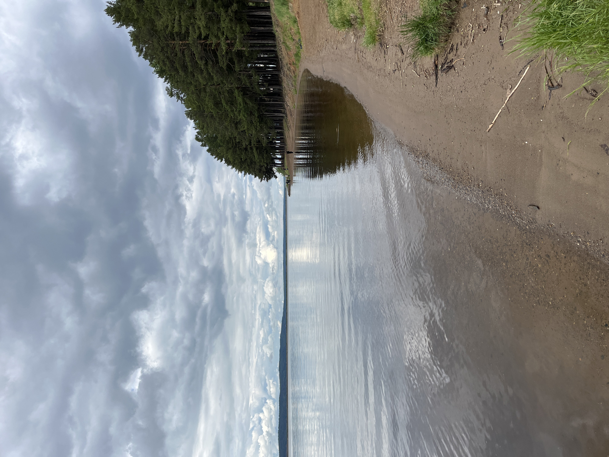 The image depicts a tranquil natural landscape, likely a lake or wide river in Chaikovsky, Russia, under an overcast sky.
In the upper portion of the frame, a vast expanse of gray and white clouds fills the sky, indicating a cloudy or partly cloudy day with soft, diffused lighting. Some brighter areas within the clouds suggest either breaks in the cover or reflected sunlight.
Along the left side of the image, a dense line of tall, dark green evergreen trees, resembling pines or firs, forms a prominent treeline that stretches into the distance. The trees are reflected in the calm surface of the water, creating a mirrored effect.
The foreground, towards the bottom of the image, features a sandy and dirt bank along the water's edge. Patches of vibrant green grass are visible on the higher ground of the bank, and scattered small pebbles and darker earth are present near the waterline. A single light-colored stick lies on the sand. A shallow, darker pool of water is visible closer to the bank.
The expansive body of water occupies the majority of the right side and extends across the middle of the scene. Its surface exhibits gentle ripples, reflecting the cloudy sky and the treeline. A faint, distant landmass or treeline is discernible on the far horizon, marking the edge of the water.
No specific human activity or individuals are visible, emphasizing the serene and untouched nature of the landscape. The overall mood is peaceful and calm. There is no visible text in the image.