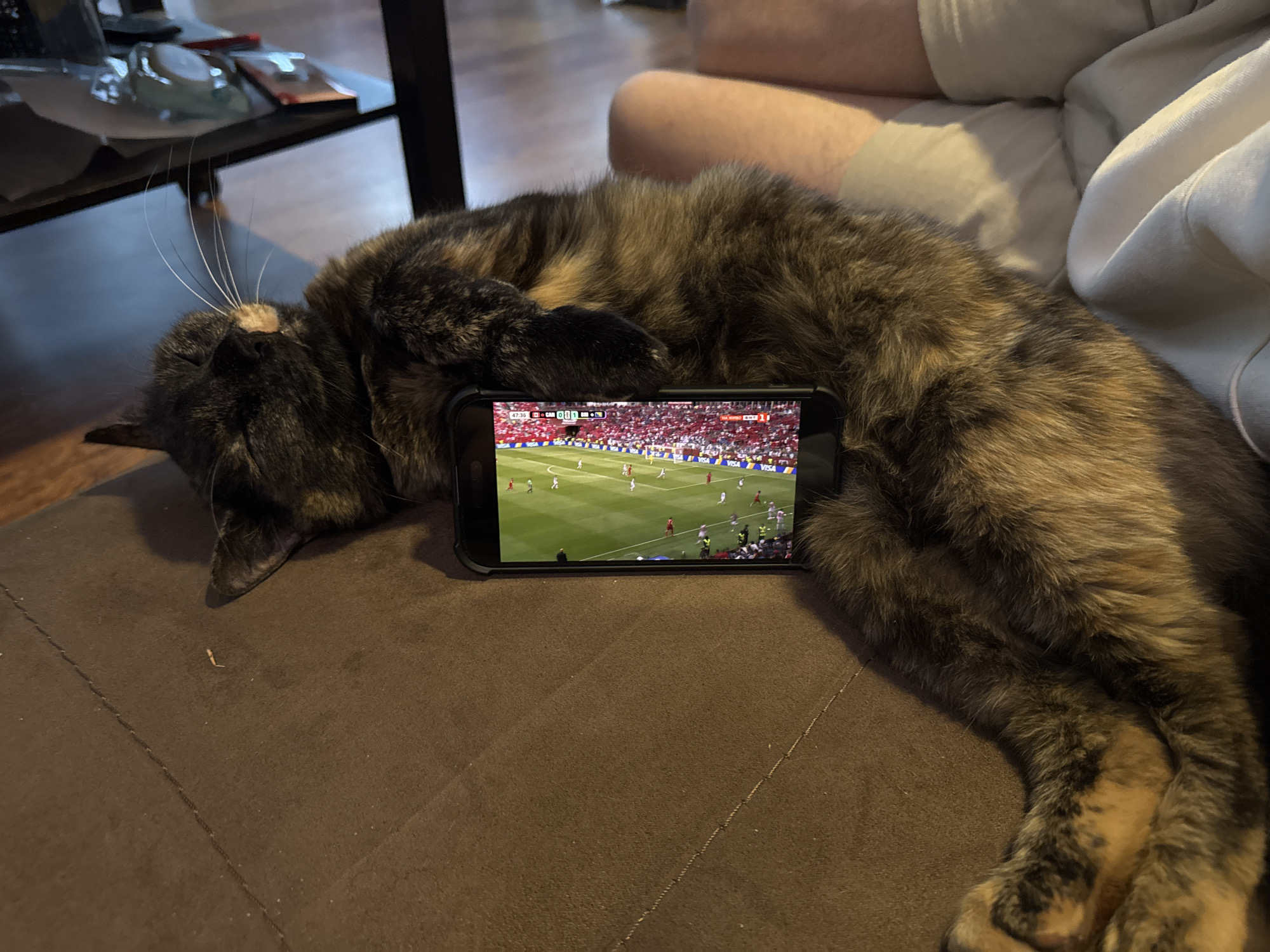 A tortoiseshell cat is asleep on a brown sofa, with a smartphone resting in front of it, displaying a soccer game. The cat's body is stretched out across the sofa, its head resting on its paws. The phone is positioned horizontally, and the game appears to be in progress, with players on a green field and a crowd visible in the background. The environment suggests an indoor domestic setting. The location is not specified in the image.