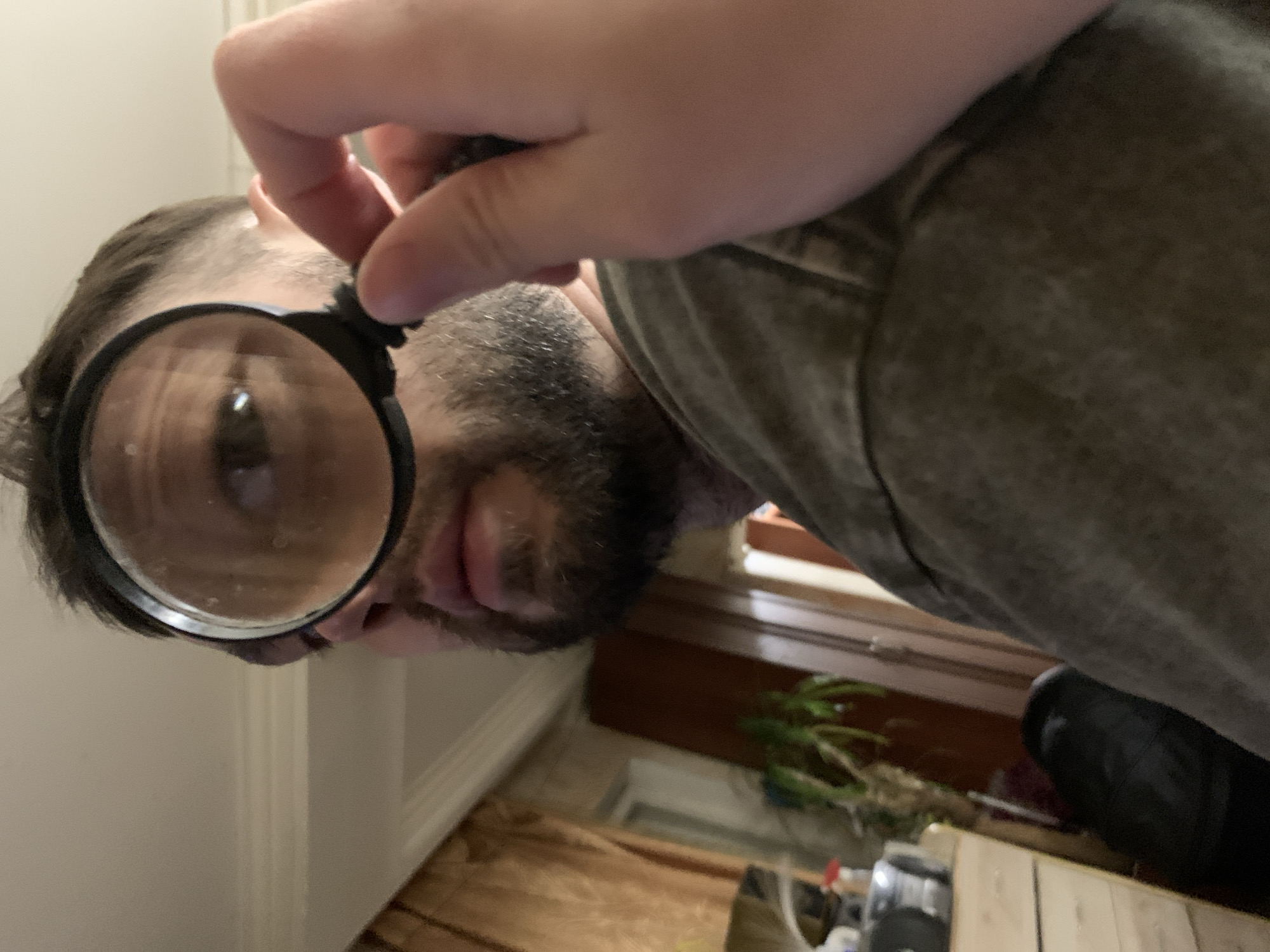 A man with a beard is holding a magnifying glass up to his face. He is wearing a greyish-green t-shirt. The background includes a door frame, a wooden floor, and part of what appears to be a piece of furniture with a plant on or near it. The location in Zasechnyi, Russia is unknown.