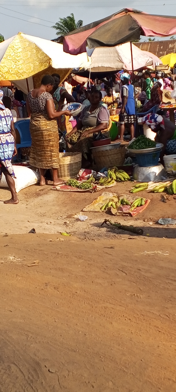 This image depicts a bustling outdoor market scene in Dzodze, Ghana. The foreground and midground consist of uneven, light brown earth, upon which various market goods are displayed directly or on fabric.
In the center, a standing woman, barefoot and dressed in a patterned short-sleeved top and a long, light brown patterned skirt, holds a transparent plastic bowl containing small, rounded items, presenting it towards a seated woman. The seated woman, positioned to the right of the standing figure, wears a light purple short-sleeved top and a patterned skirt, observing the standing woman.
Surrounding these two central figures are an assortment of market items: several large woven baskets, stacked metal bowls, and plastic containers. Bundles of green plantains and other green vegetables are arranged on the ground and within baskets. In the far left foreground, a person's bare feet and lower legs are visible alongside a large white sack.
The mid-background is populated by numerous other market vendors and patrons, partially obscured by a series of large market umbrellas providing shade. These umbrellas display various colors including a prominent yellow patterned one, a dark brown/red umbrella, and lighter-colored umbrellas. In the distant background, beyond the market activity, parts of structures with corrugated metal roofing are visible, set against a bright sky with palm trees and other green foliage.