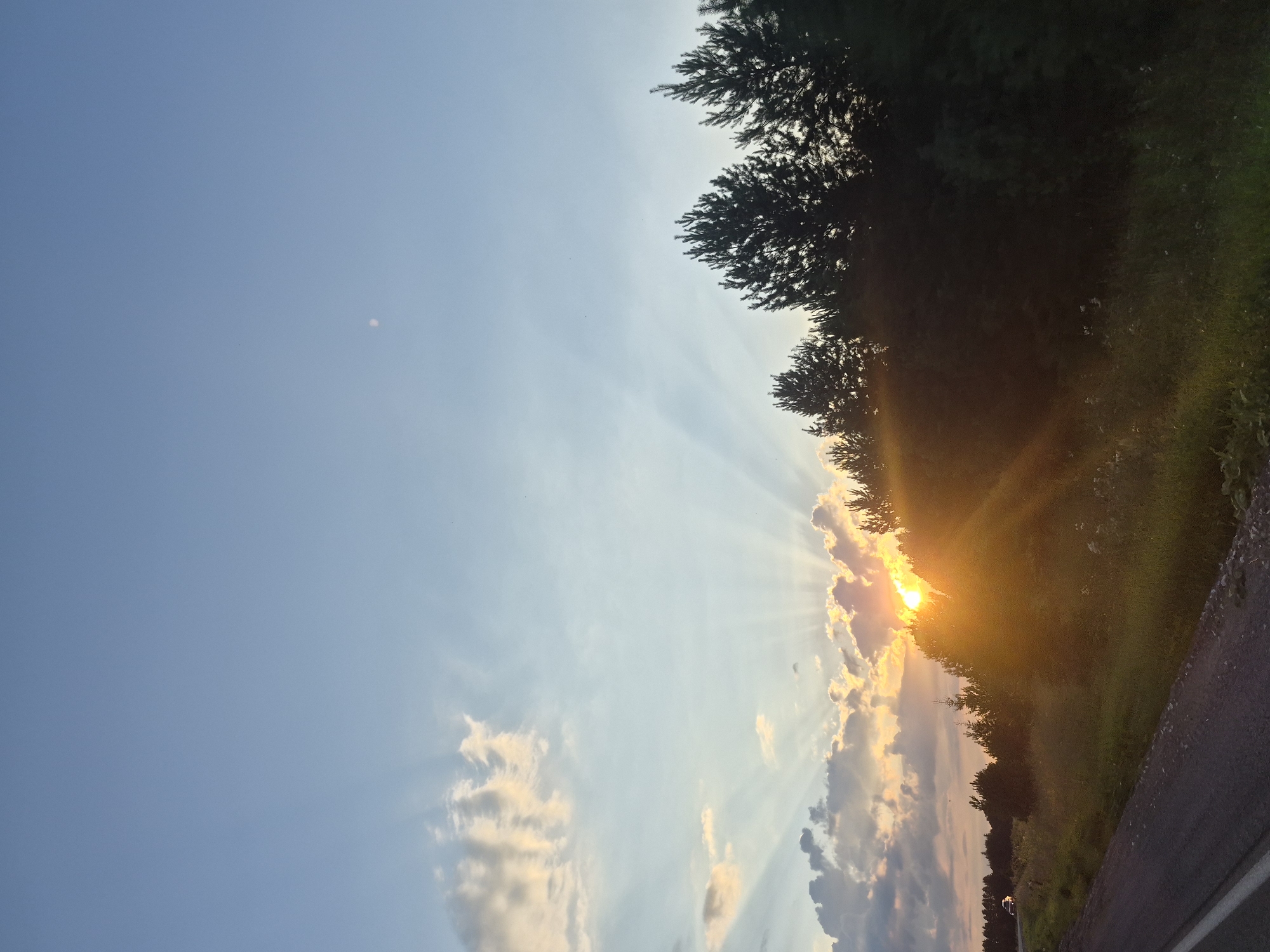 The image shows a sunset over a rural landscape, likely near Niva, Russia. A road runs along the left side of the frame, with a car visible in the distance. The sky is a pale blue with scattered clouds, and the sun is setting behind a line of trees on the right. The sun's rays are fanning out across the sky, creating a dramatic effect. The foreground is dominated by tall grass and wildflowers. The overall impression is one of natural beauty and tranquility.